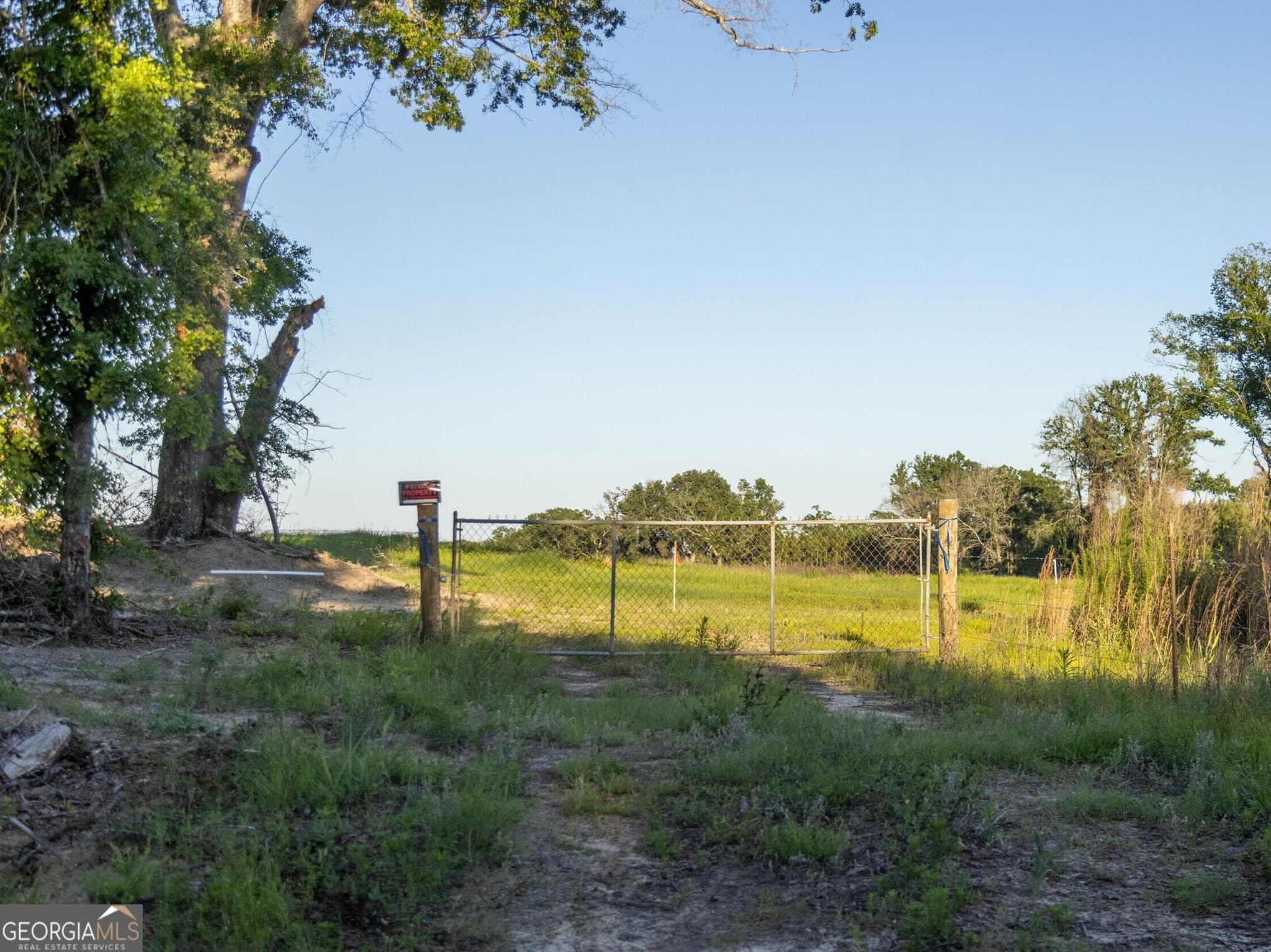 agriculture for sale at 004 Beulah Road TRACT 4, Sylvania, GA 30467 — photo 9