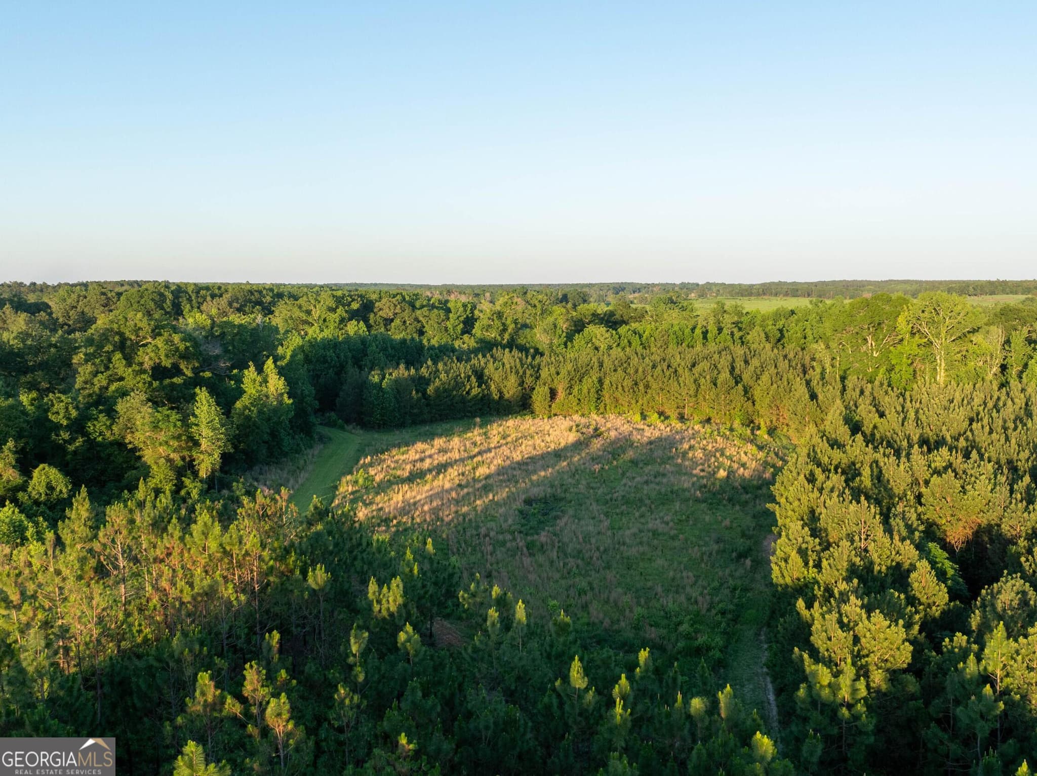 agriculture for sale at 004 Beulah Road TRACT 4, Sylvania, GA 30467 — photo 4