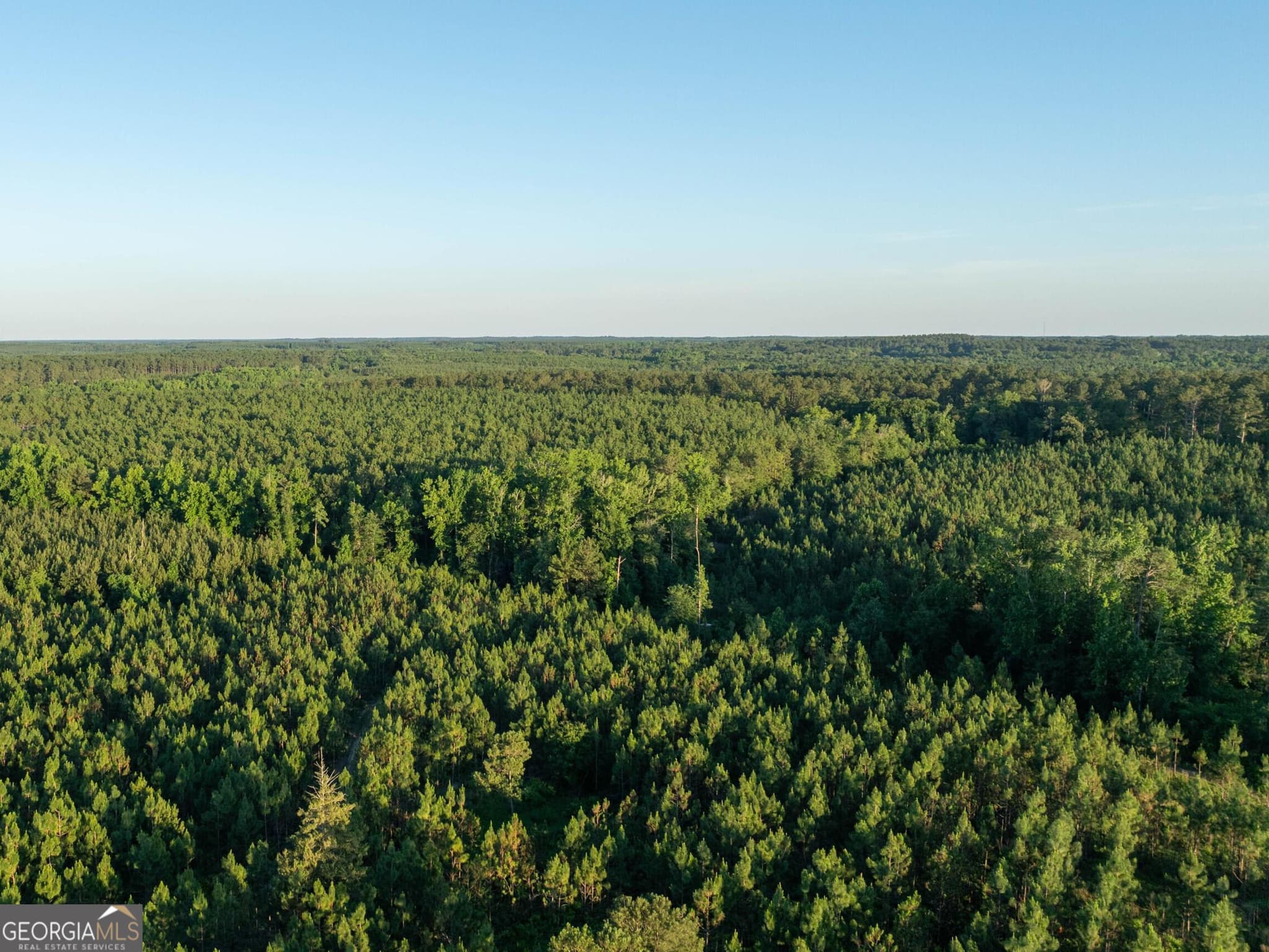 agriculture for sale at 004 Beulah Road TRACT 4, Sylvania, GA 30467 — photo 8