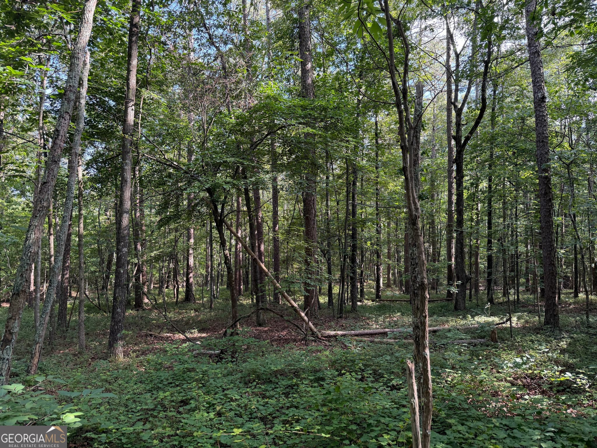 agriculture for sale at 0 Clear Lake Drive, Adairsville, GA 30103 — photo 2