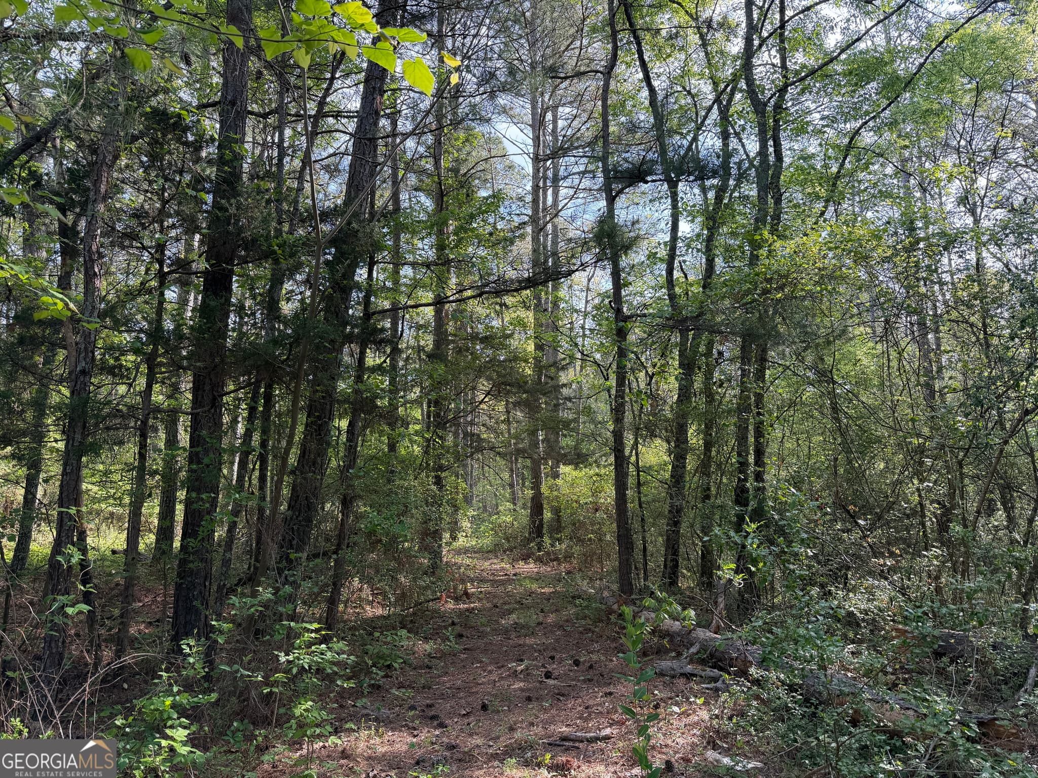 agriculture for sale at 0 Clear Lake Drive, Adairsville, GA 30103 — photo 6