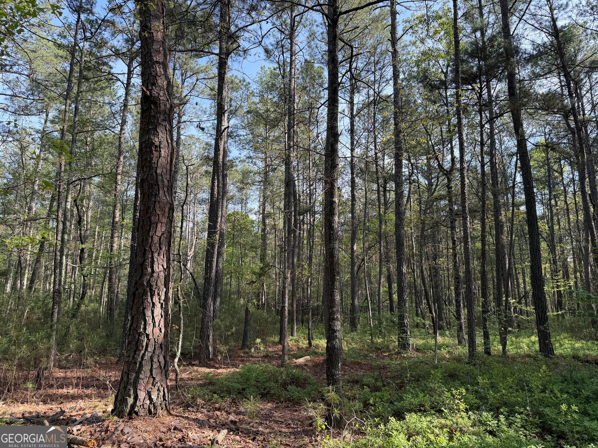 agriculture for sale at 0 Clear Lake Drive, Adairsville, GA 30103 — photo 7