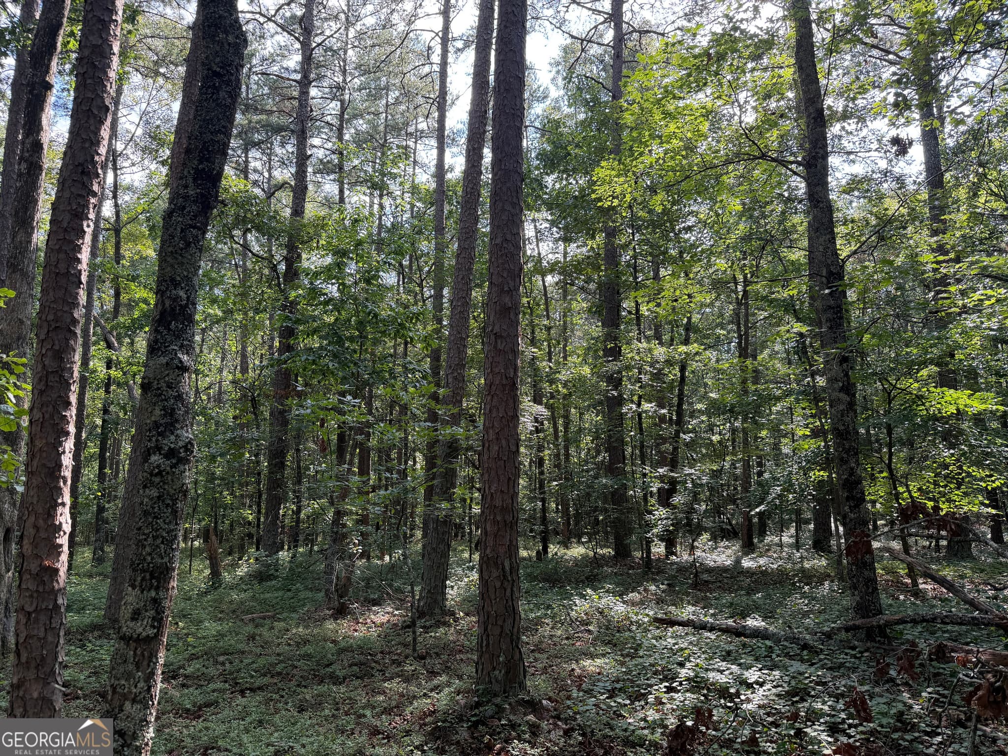 agriculture for sale at 0 Clear Lake Drive, Adairsville, GA 30103 — photo 3