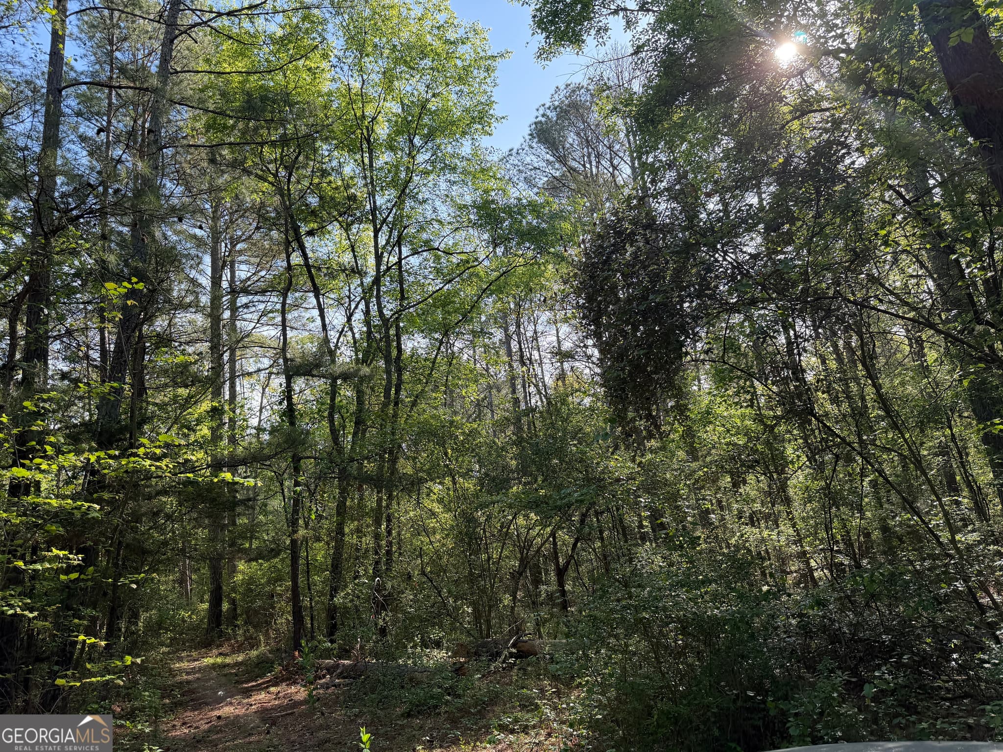 agriculture for sale at 0 Clear Lake Drive, Adairsville, GA 30103