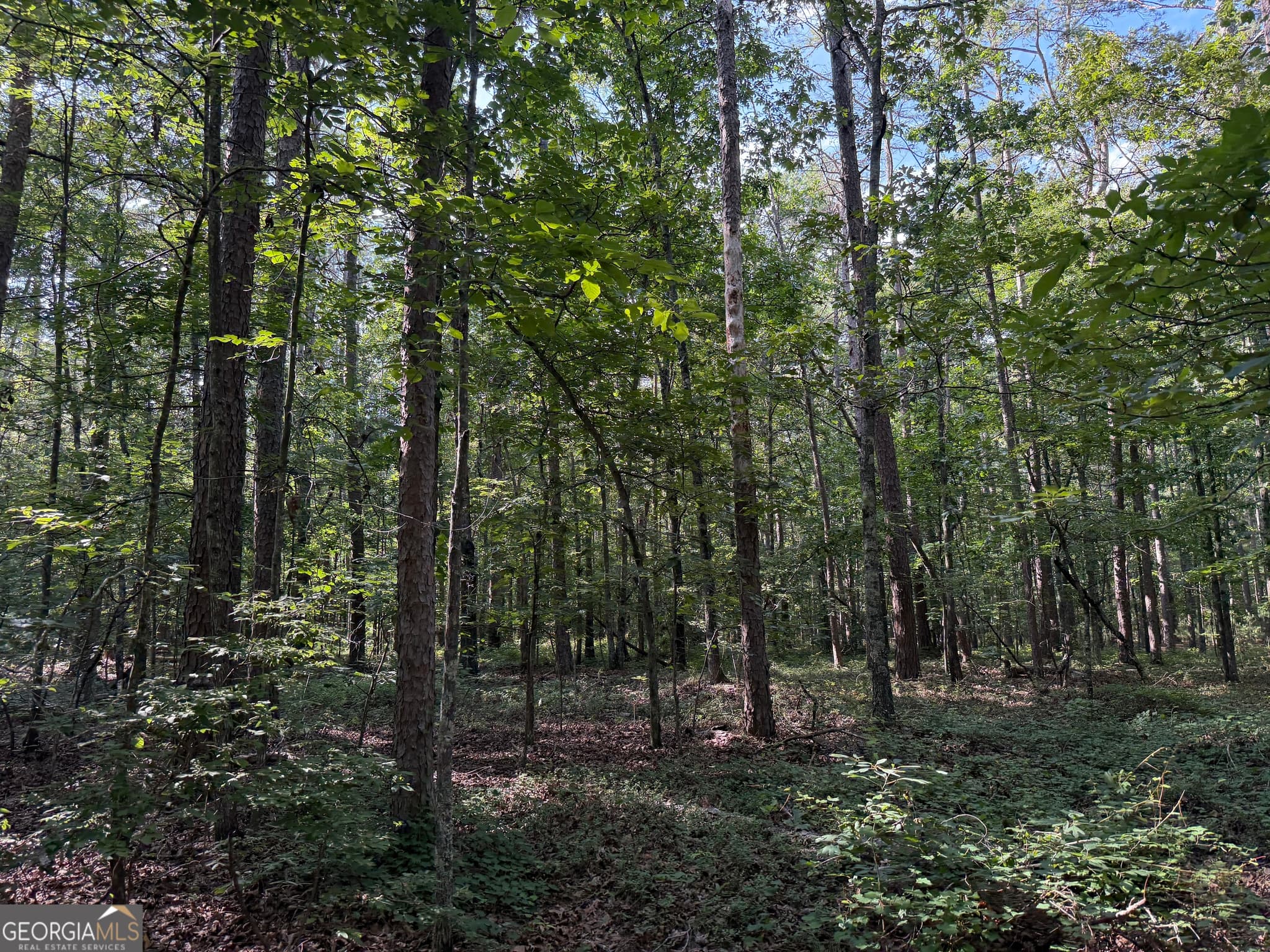 agriculture for sale at 0 Clear Lake Drive, Adairsville, GA 30103 — photo 5