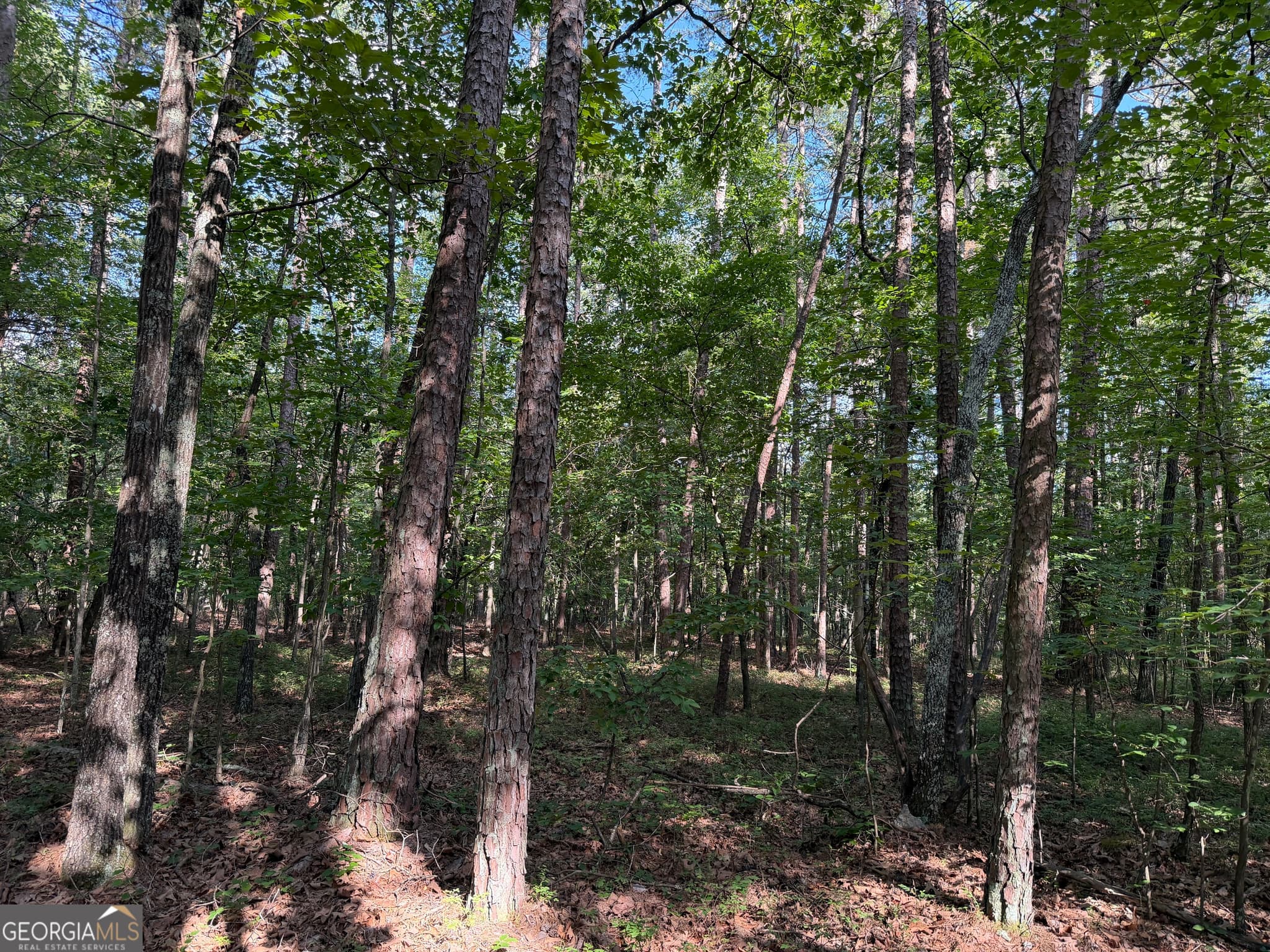 agriculture for sale at 0 Clear Lake Drive, Adairsville, GA 30103 — photo 4