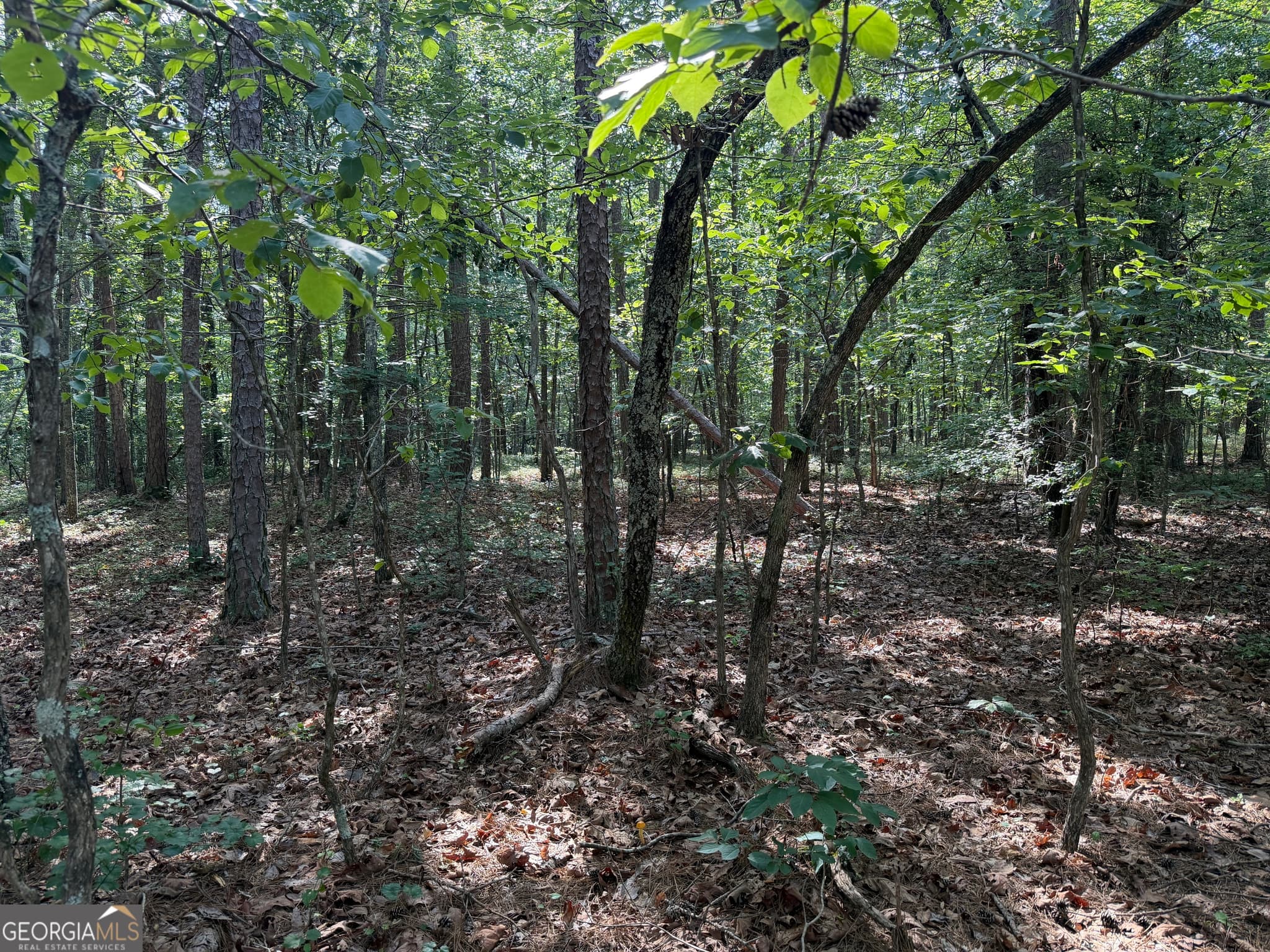 agriculture for sale at 0 Clear Lake Drive, Adairsville, GA 30103 — photo 8