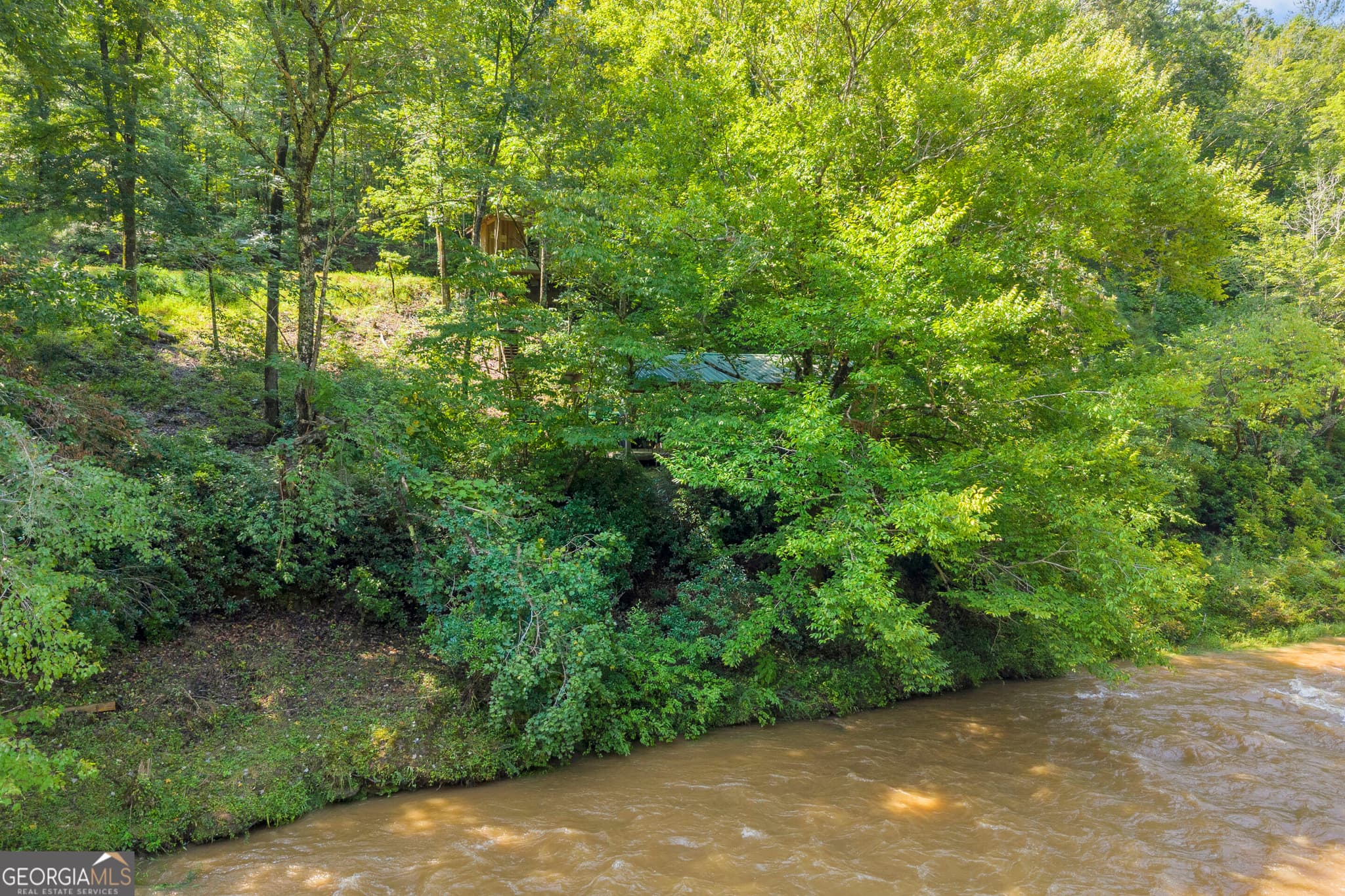 residential lot for sale at 0 Waters Edge Trail, Talking Rock, GA 30175 — photo 10