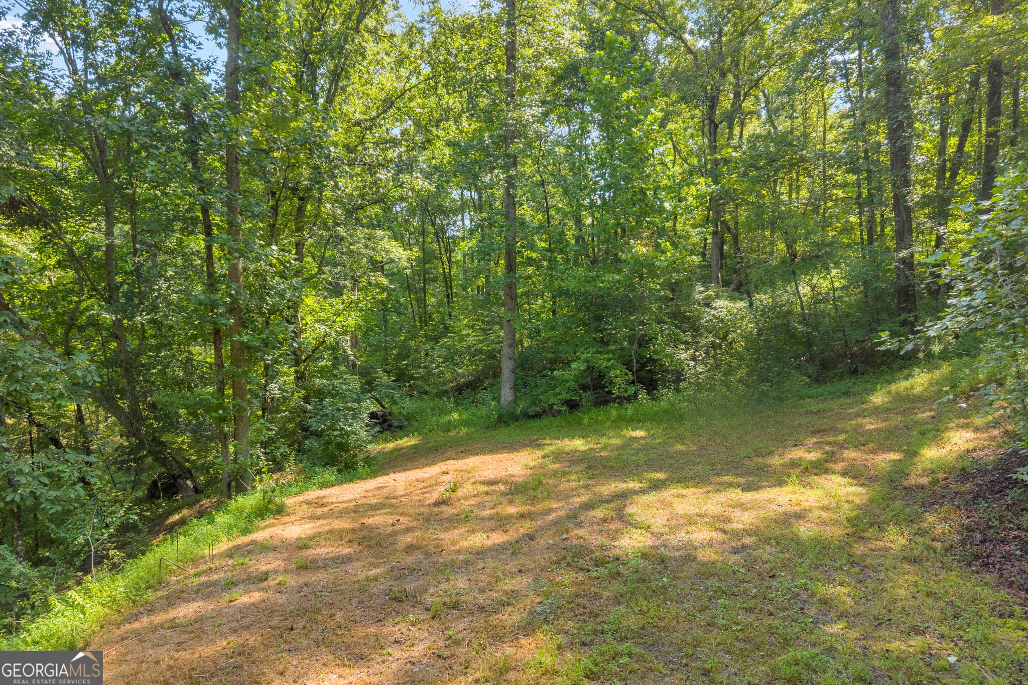residential lot for sale at 0 Waters Edge Trail, Talking Rock, GA 30175 — photo 8