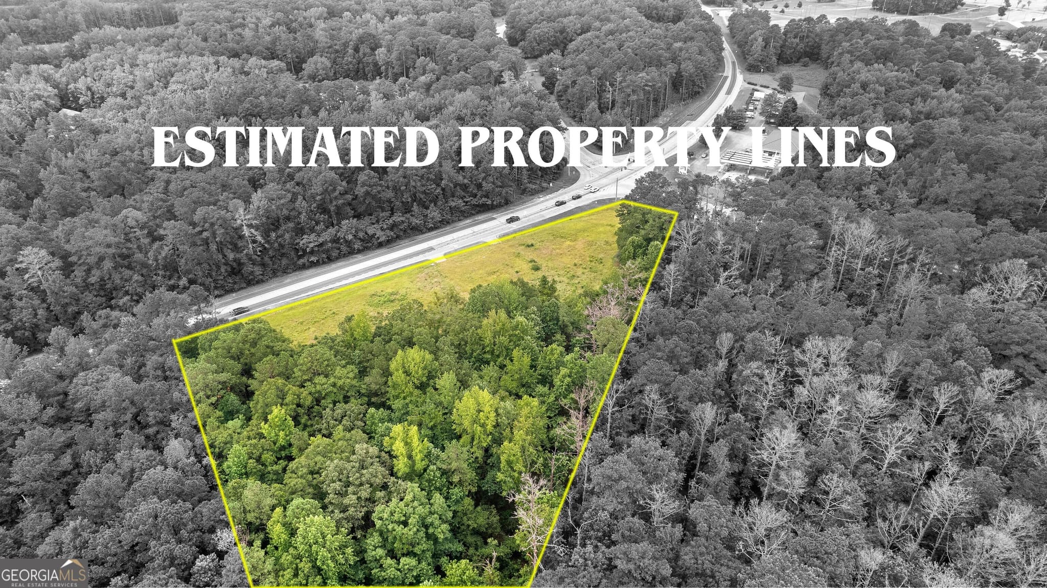 unimproved land for sale at 0 Poplar Road, Sharpsburg, GA 30277 — photo 3