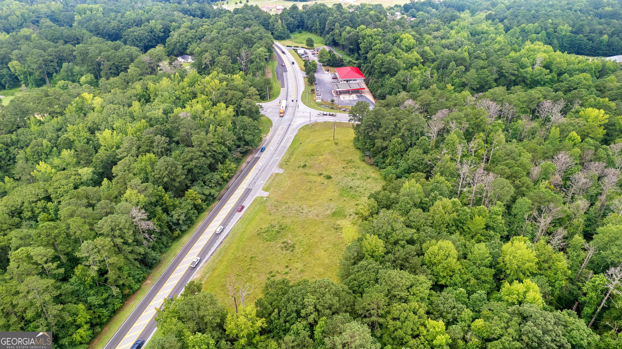 unimproved land for sale at 0 Poplar Road, Sharpsburg, GA 30277 — photo 4