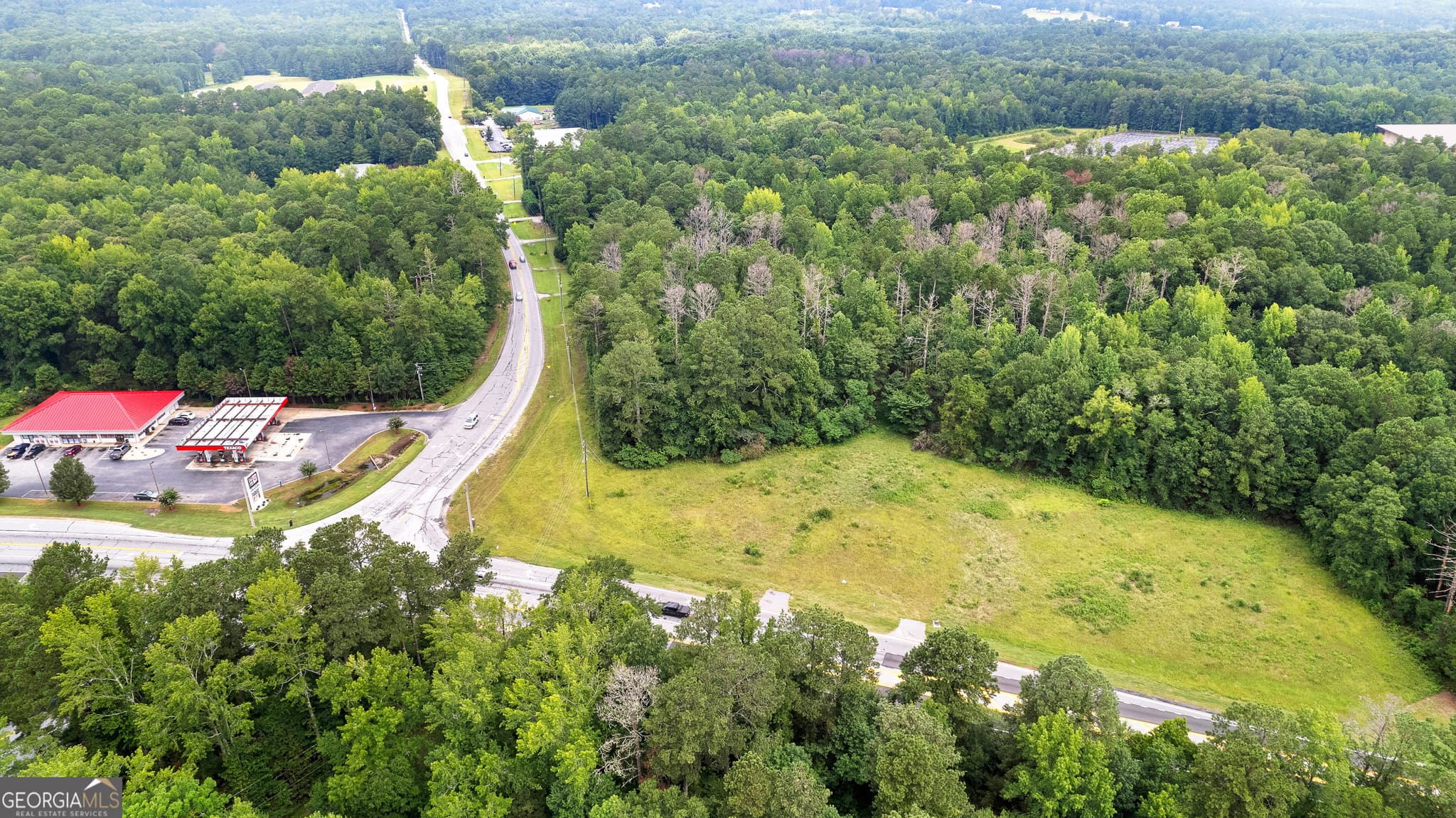 unimproved land for sale at 0 Poplar Road, Sharpsburg, GA 30277 — photo 8