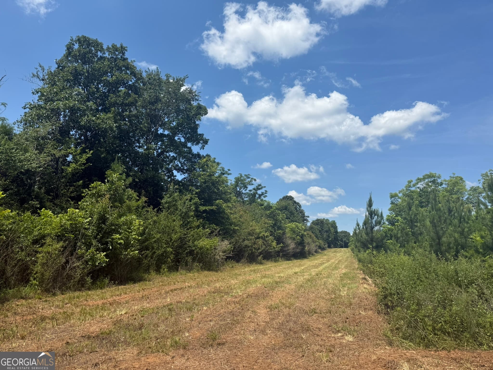 agriculture sold at 004 Fountain Bridge Road, Cuthbert, GA 39840