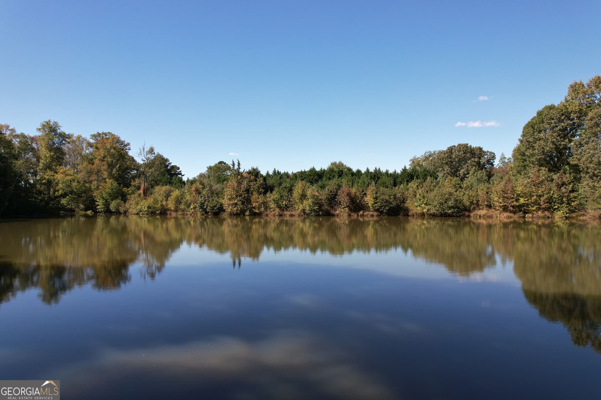 unimproved land for sale at 103 & 167 E Lake Road, Mcdonough, GA 30252 — photo 6