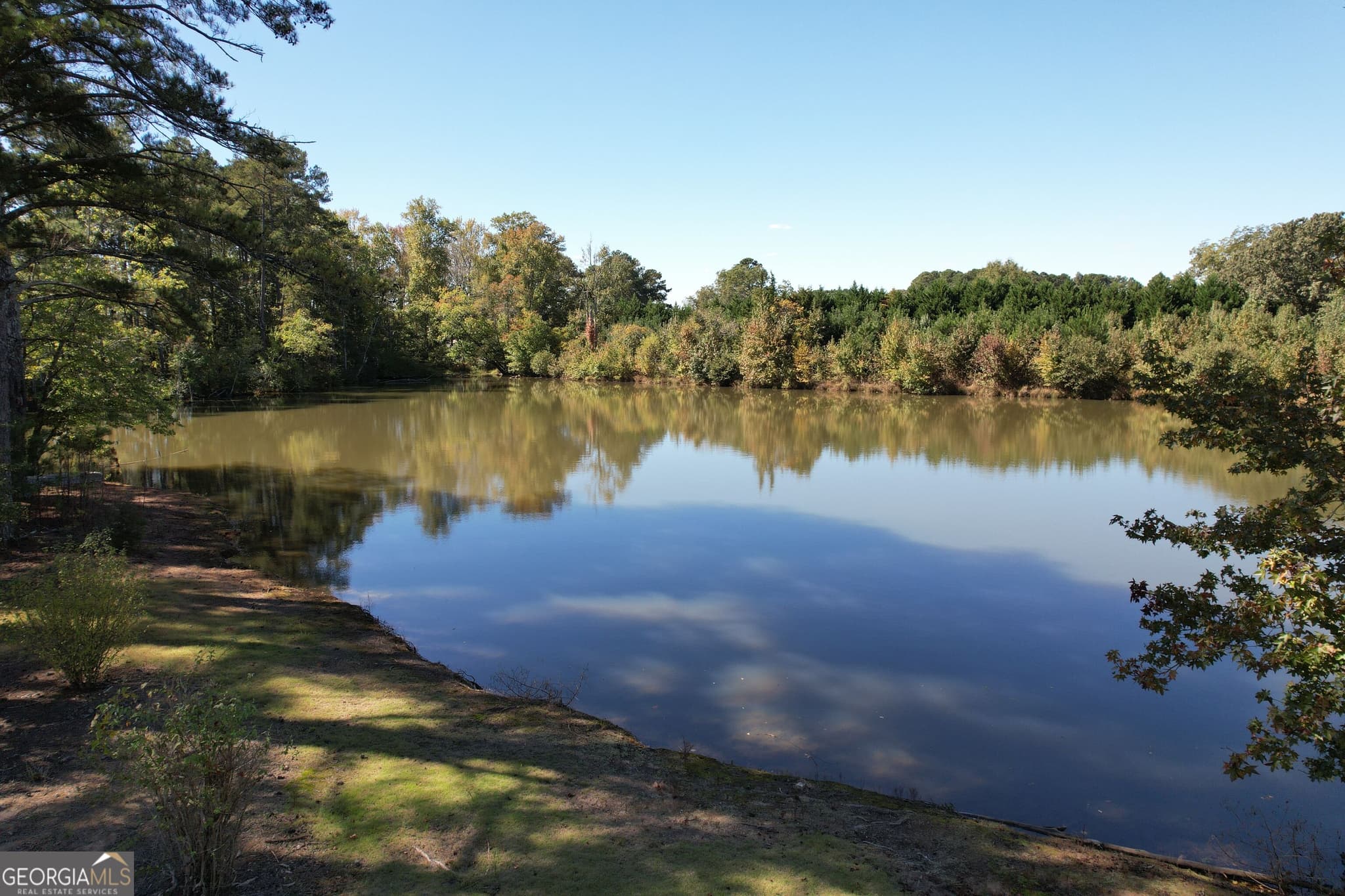 unimproved land for sale at 103 & 167 E Lake Road, Mcdonough, GA 30252 — photo 7