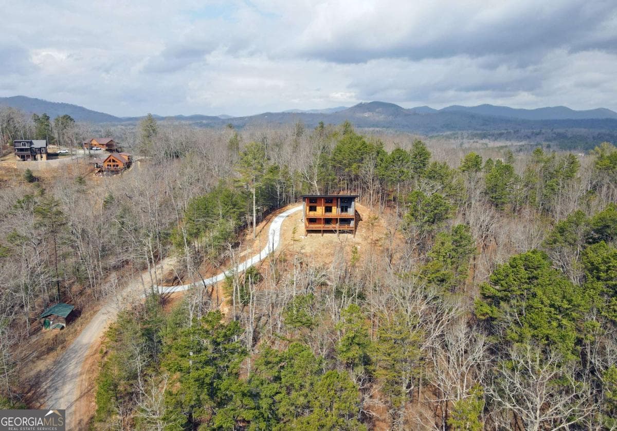 3 bedroom, 3 bathroom, 2,484 sq ft cabin,single family residence under contract at 391 Crabapple Lane, Mineral Bluff, GA 30559 — photo 10