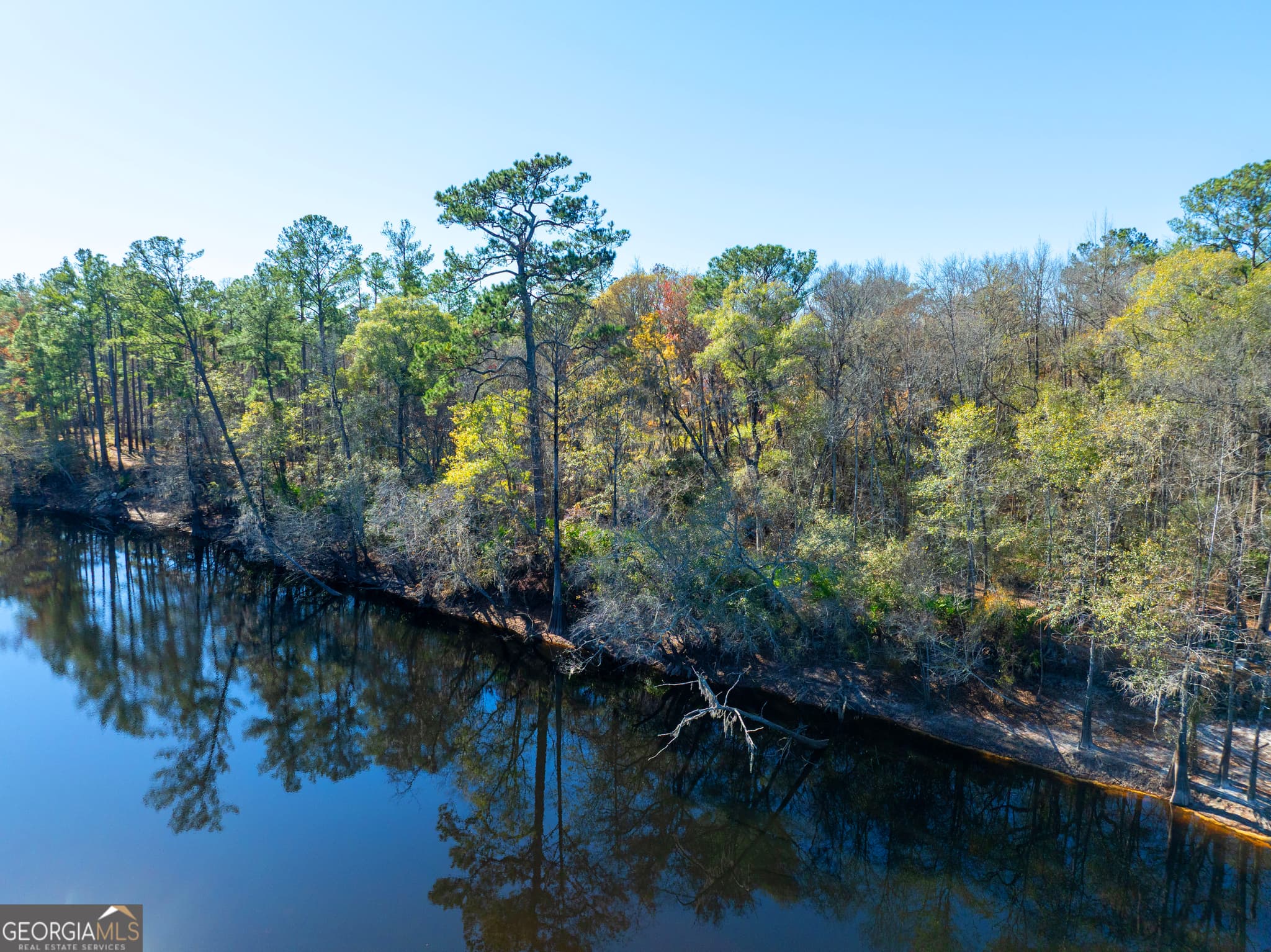 residential lot for sale at 0 Stephen Park Road, Nahunta, GA 31553 — photo 7
