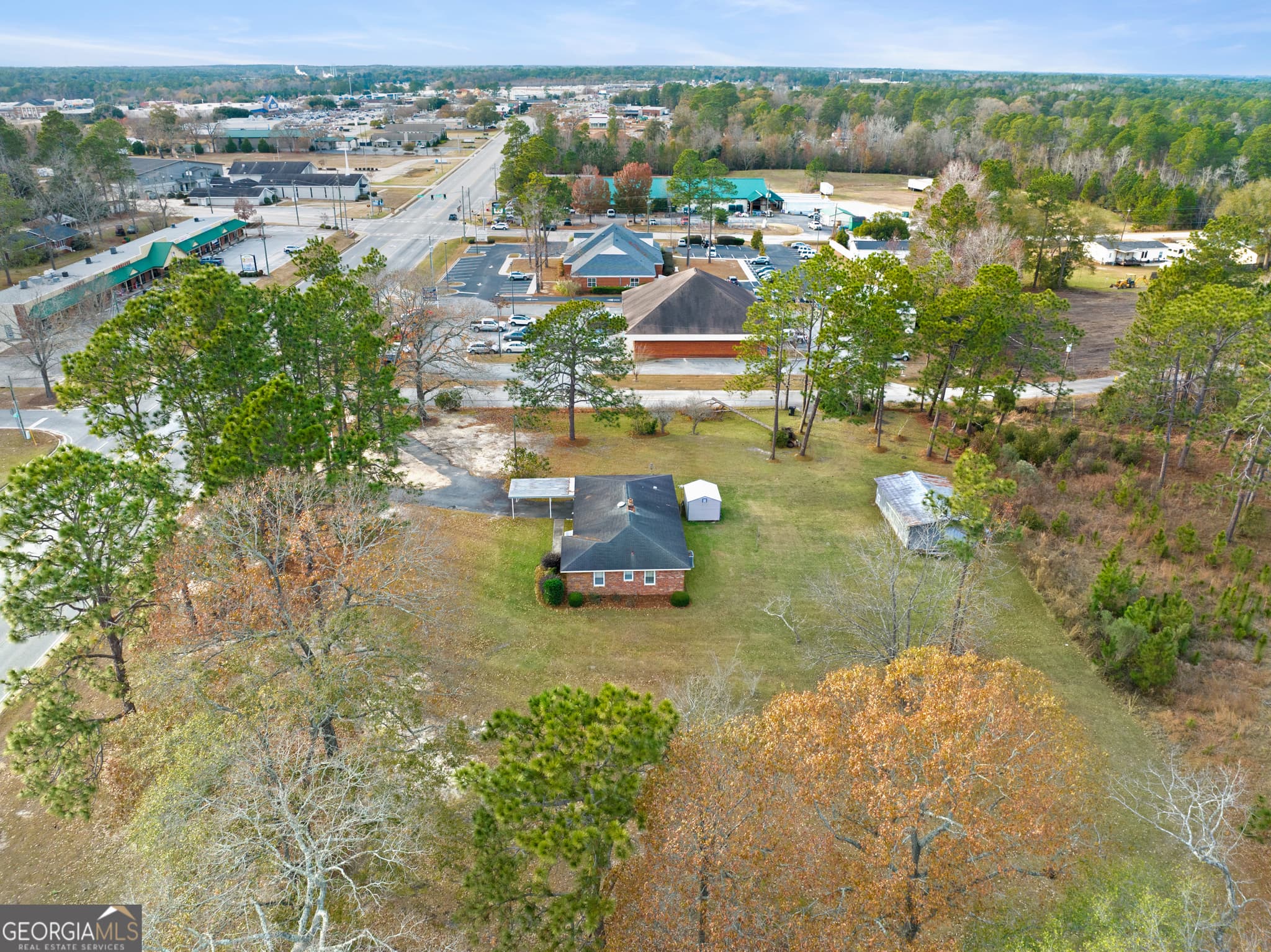 estate lot for sale at 23606 Us Highway 80, Statesboro, GA 30461 — photo 6