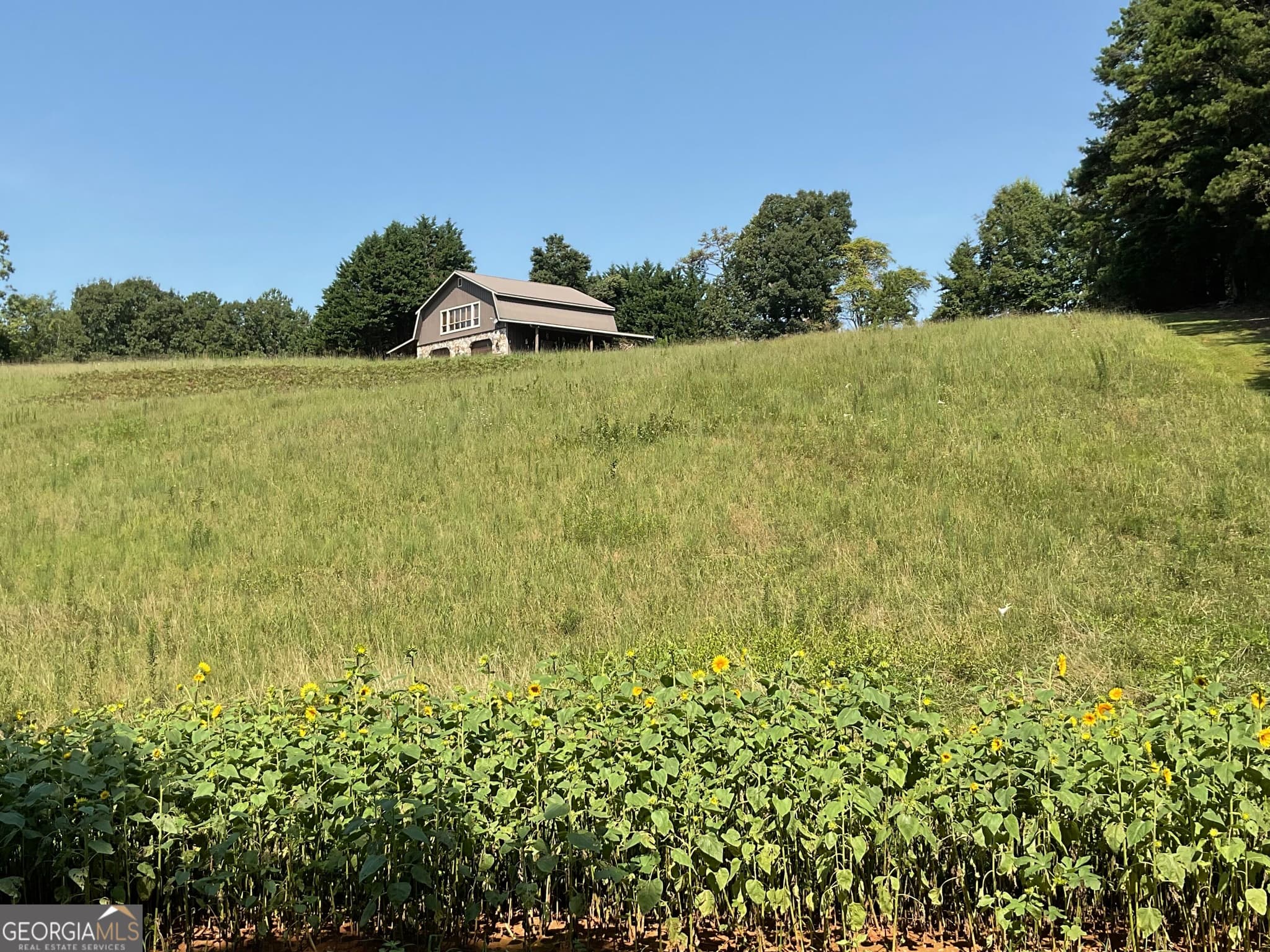 2 bedroom, 2 bathroom, 1,656 sq ft loft,farm for sale at 305 Laurel Springs/Opossum, Long Creek, SC 29664 — photo 7