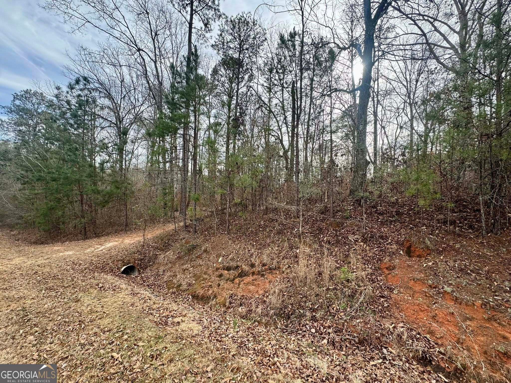 residential lot for sale at 0 Hatchee Ridge Road, Dublin, GA 31021 — photo 2