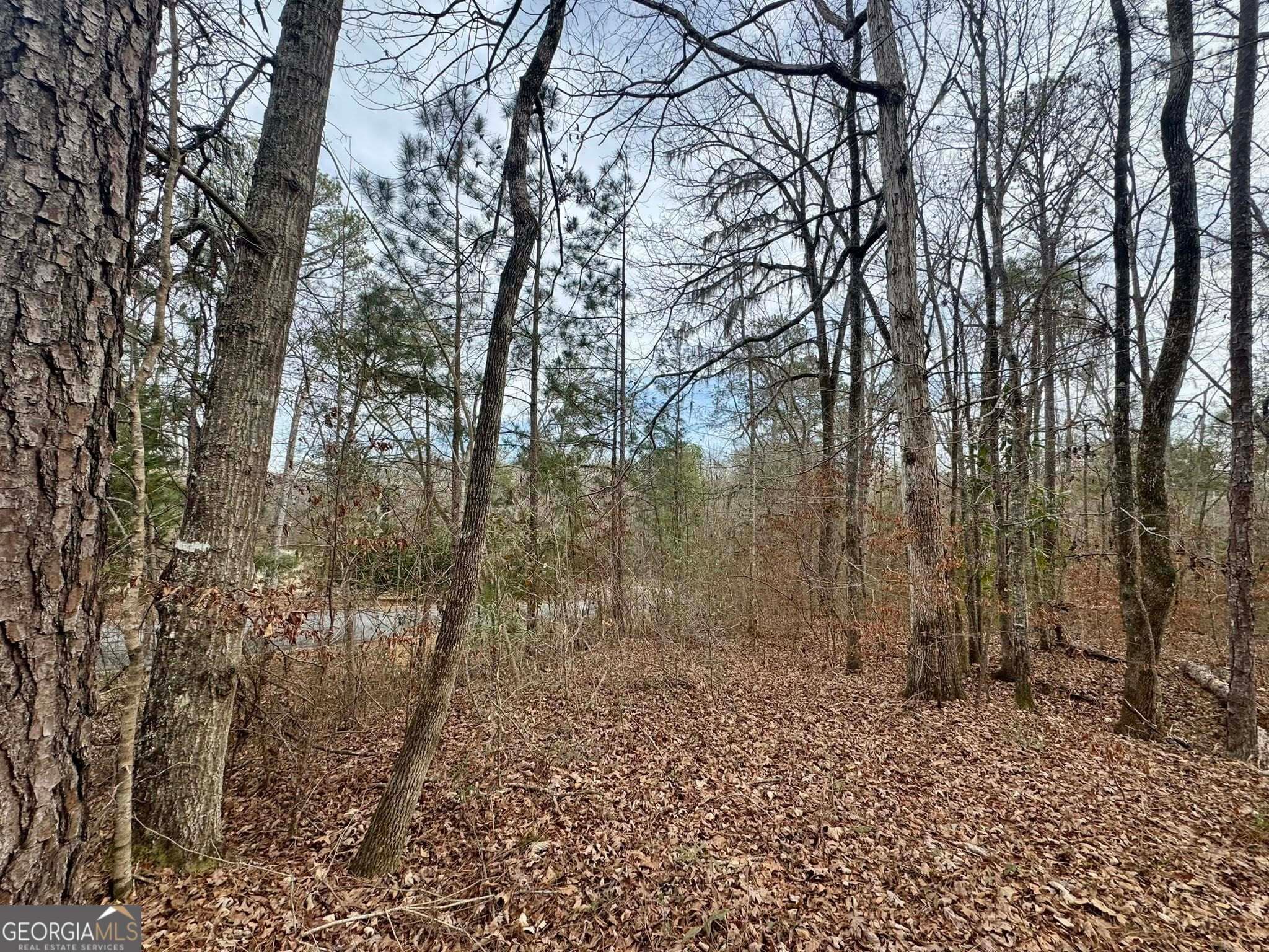 residential lot for sale at 0 Hatchee Ridge Road, Dublin, GA 31021 — photo 6