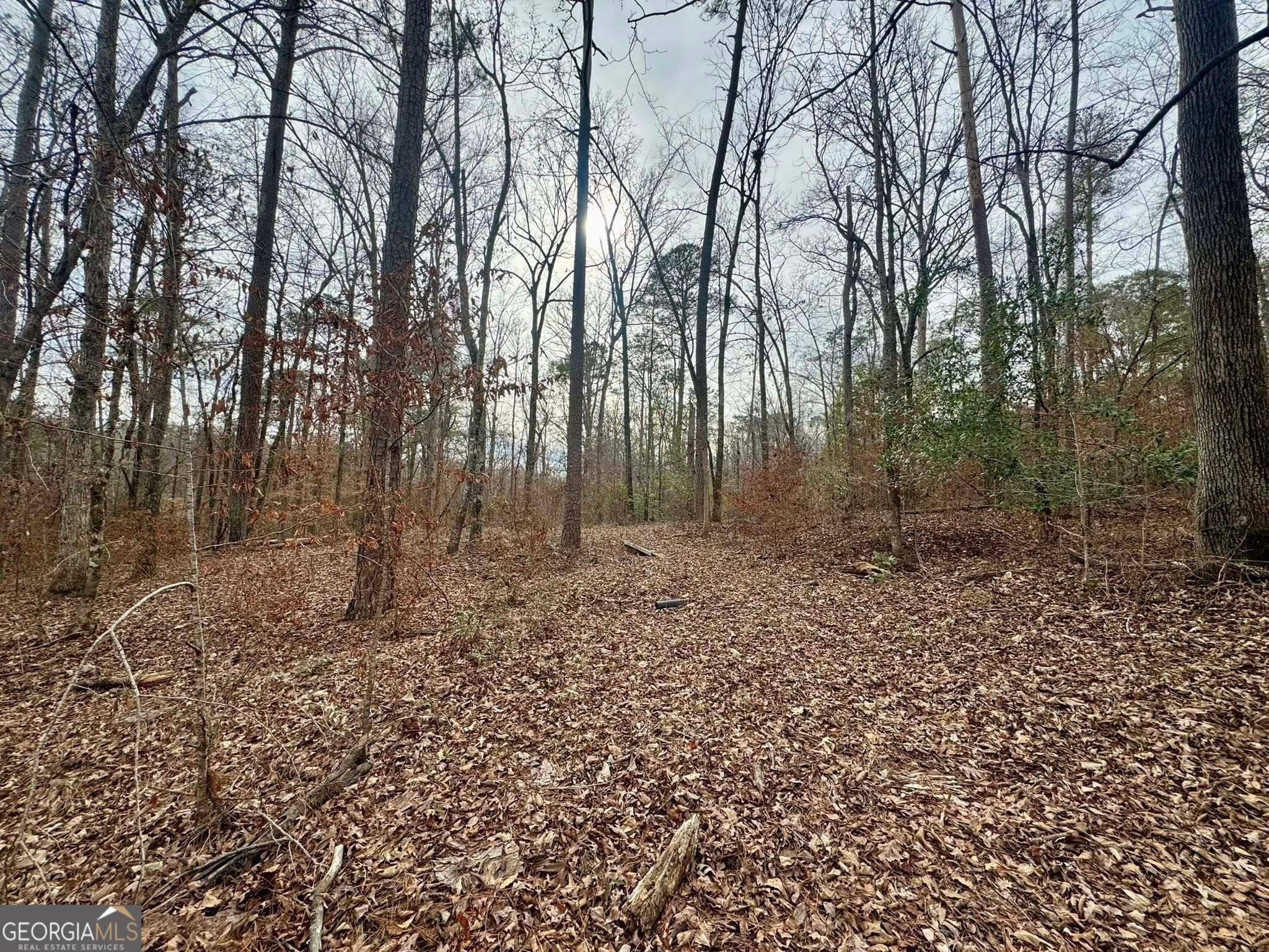 residential lot for sale at 0 Hatchee Ridge Road, Dublin, GA 31021 — photo 7