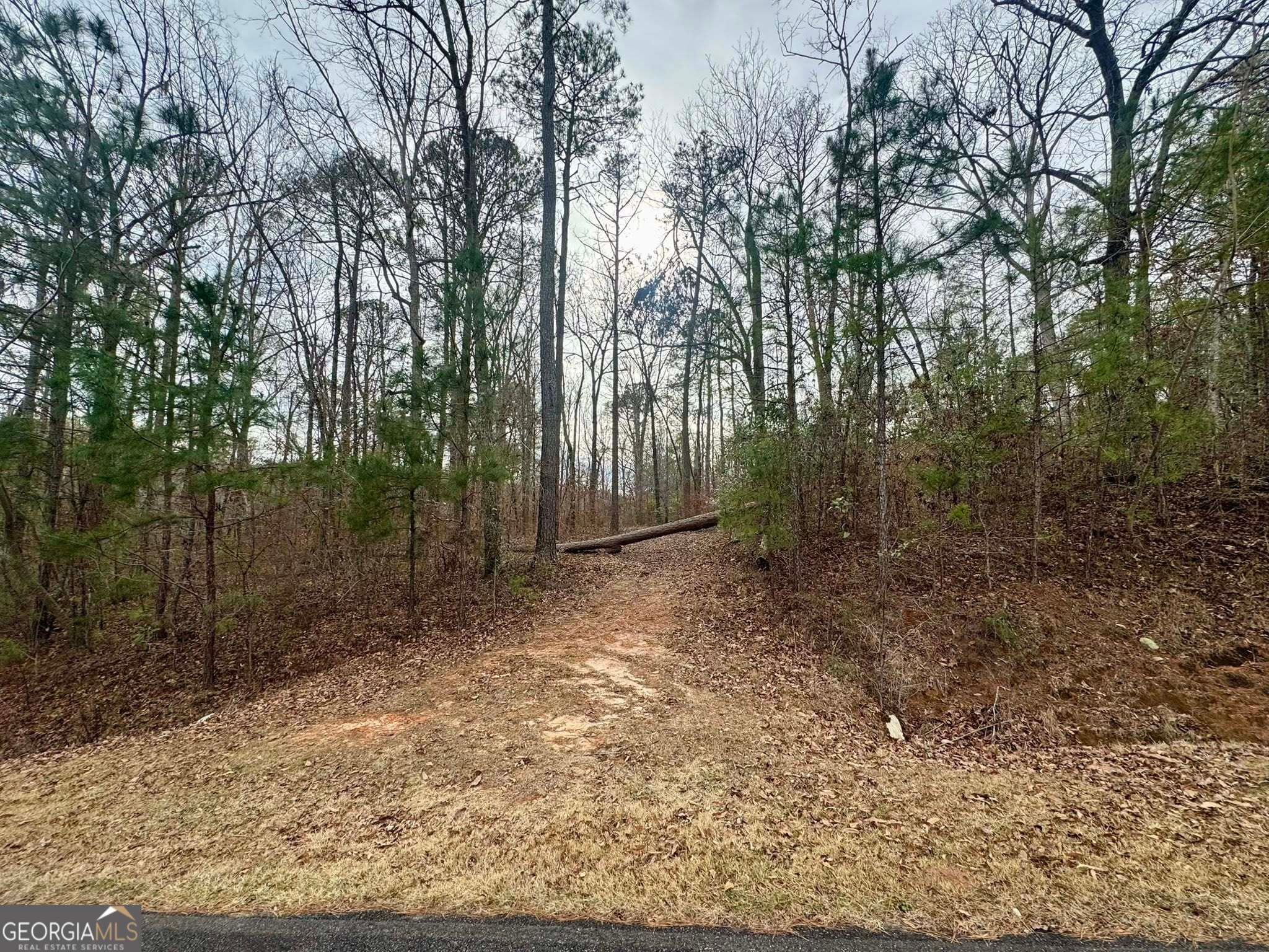 residential lot for sale at 0 Hatchee Ridge Road, Dublin, GA 31021 — photo 3