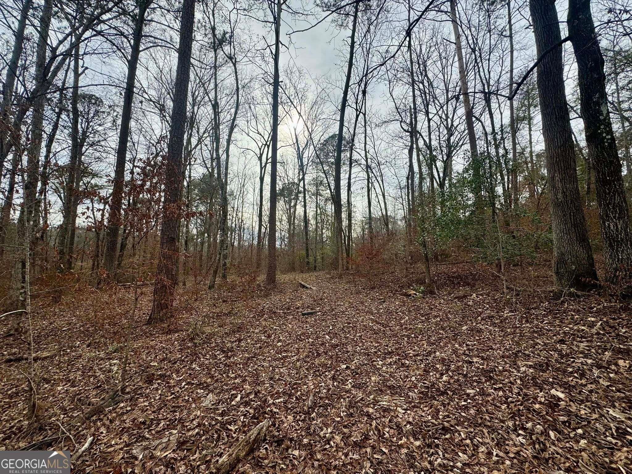 residential lot for sale at 0 Hatchee Ridge Road, Dublin, GA 31021 — photo 5