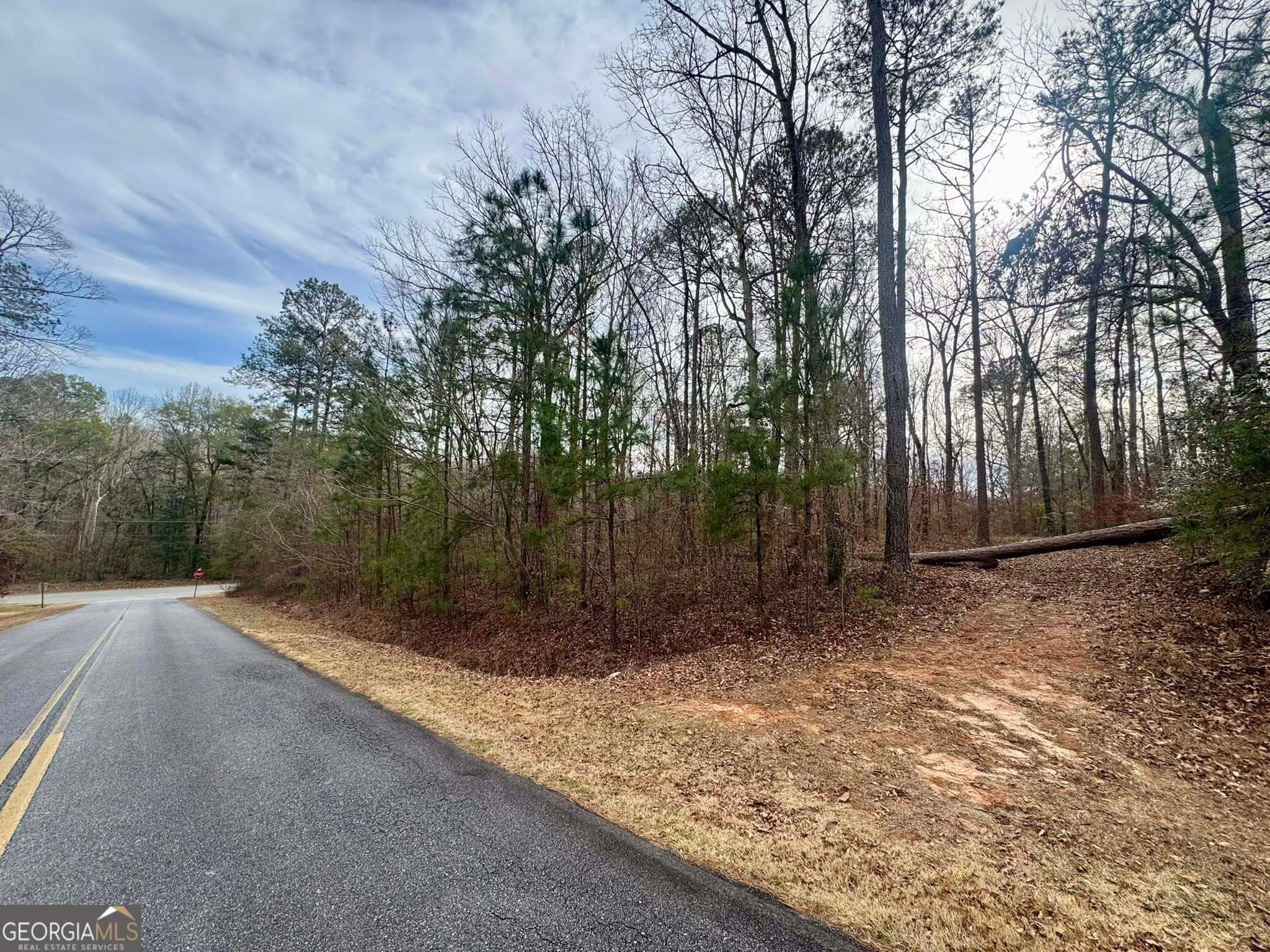 residential lot for sale at 0 Hatchee Ridge Road, Dublin, GA 31021 — photo 9