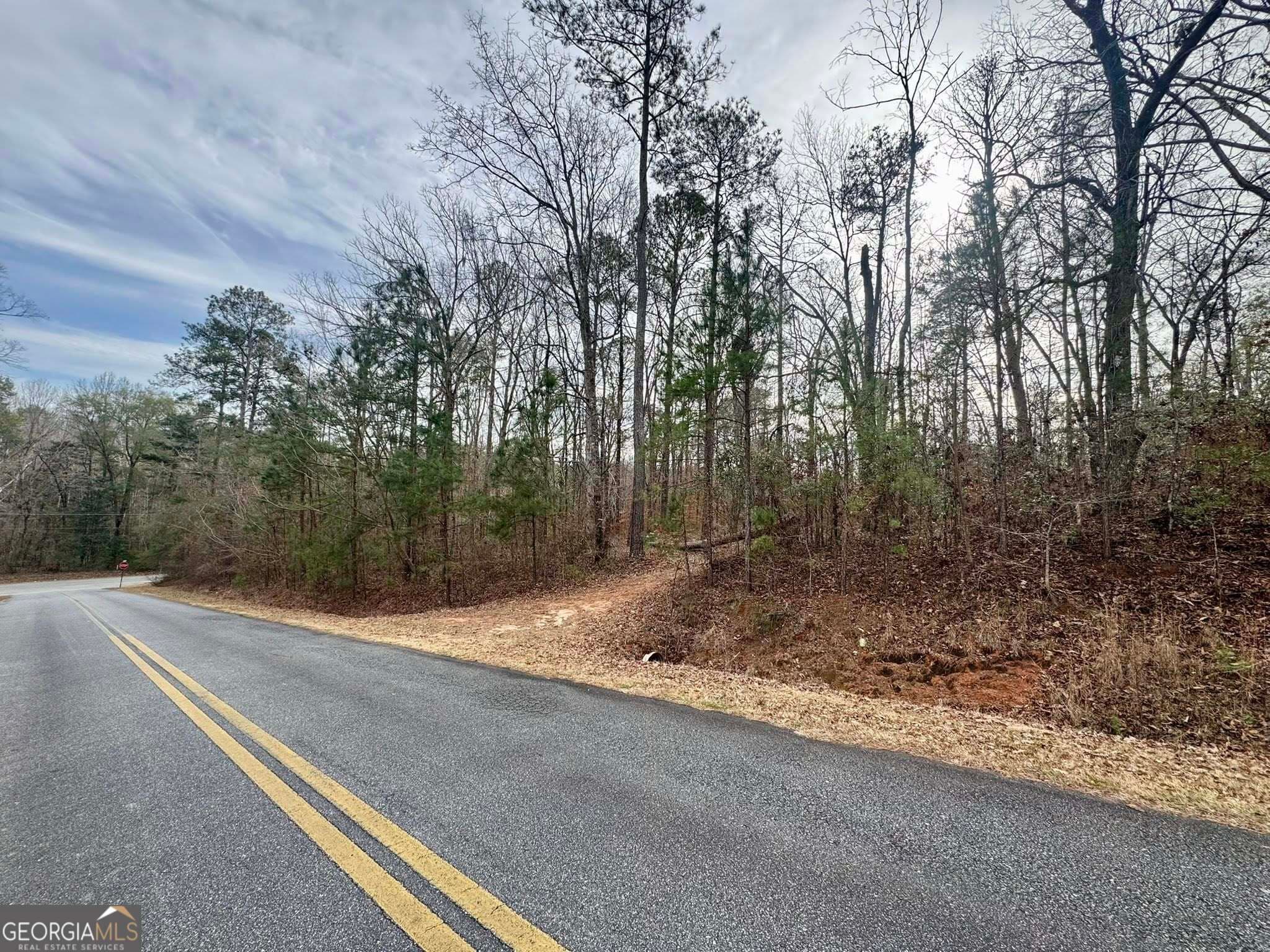 residential lot for sale at 0 Hatchee Ridge Road, Dublin, GA 31021 — photo 4