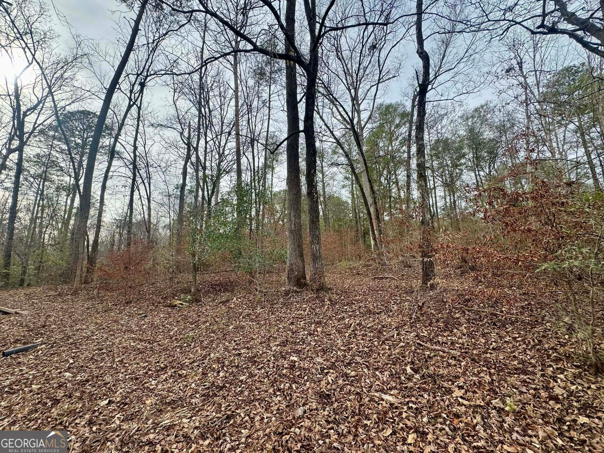 residential lot for sale at 0 Hatchee Ridge Road, Dublin, GA 31021 — photo 8