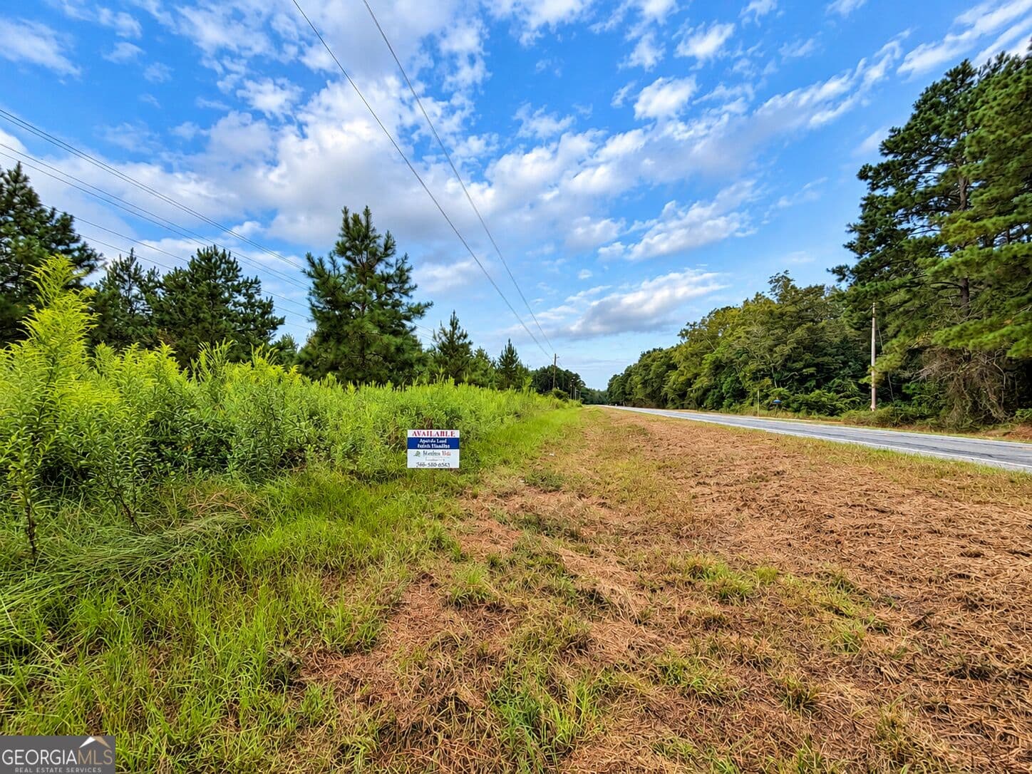 residential lot for sale at 2.7 ACRES Flamingo Estate, Hawkinsville, GA 31036 — photo 7