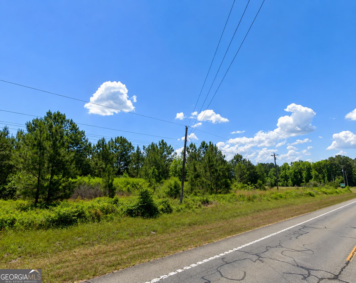 residential lot for sale at 2.7 ACRES Flamingo Estate, Hawkinsville, GA 31036 — photo 9