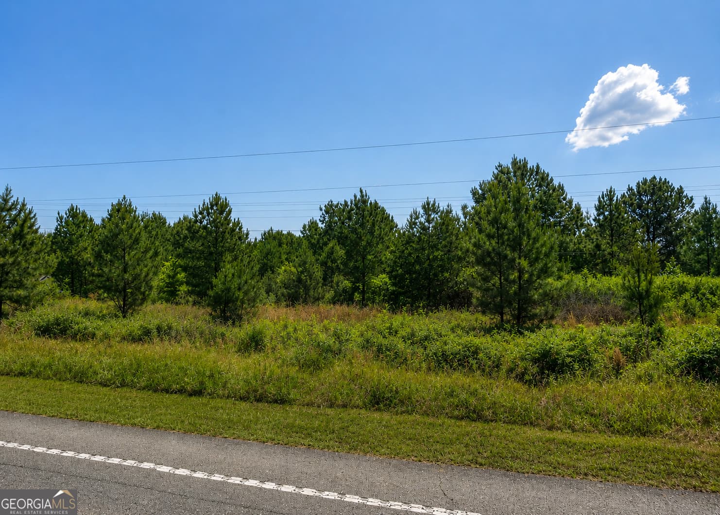 residential lot for sale at 2.7 ACRES Flamingo Estate, Hawkinsville, GA 31036 — photo 10