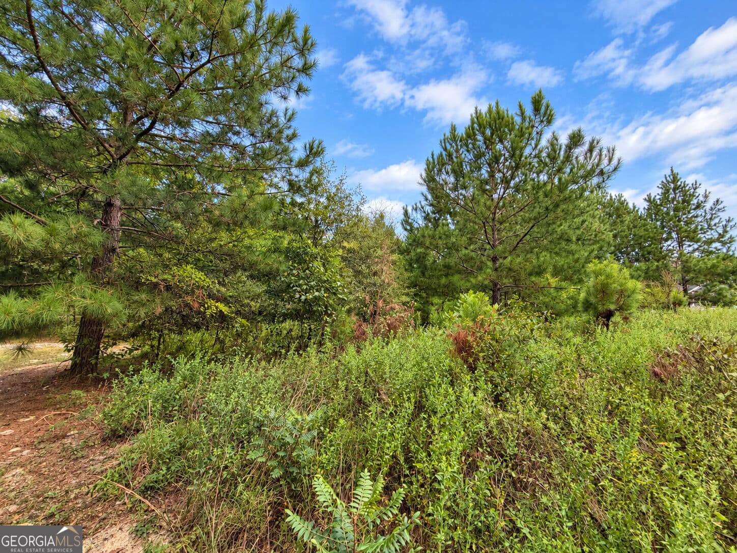 residential lot for sale at 2.7 ACRES Flamingo Estate, Hawkinsville, GA 31036 — photo 4