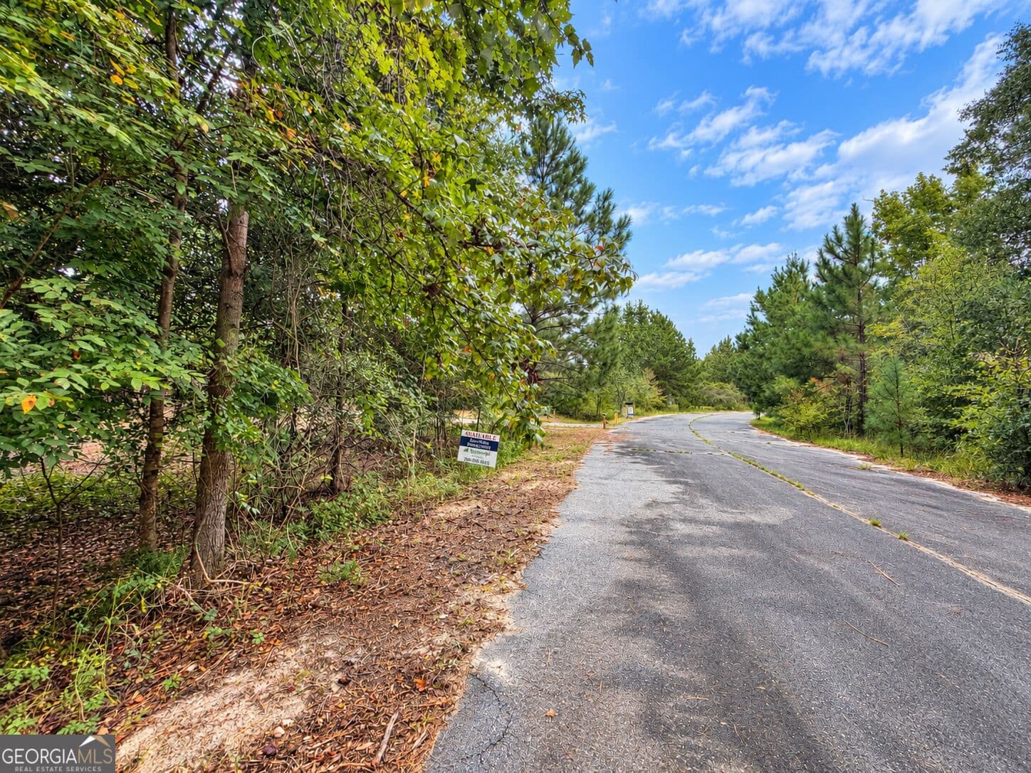 residential lot for sale at 2.7 ACRES Flamingo Estate, Hawkinsville, GA 31036 — photo 8