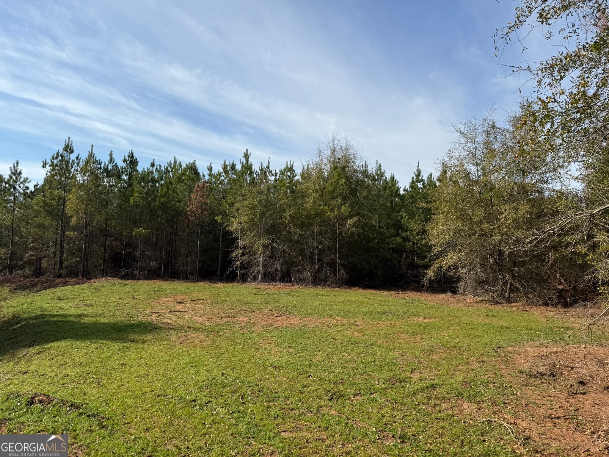 unimproved land for sale at 003 GA Highway 45, Plains, GA 31780 — photo 3