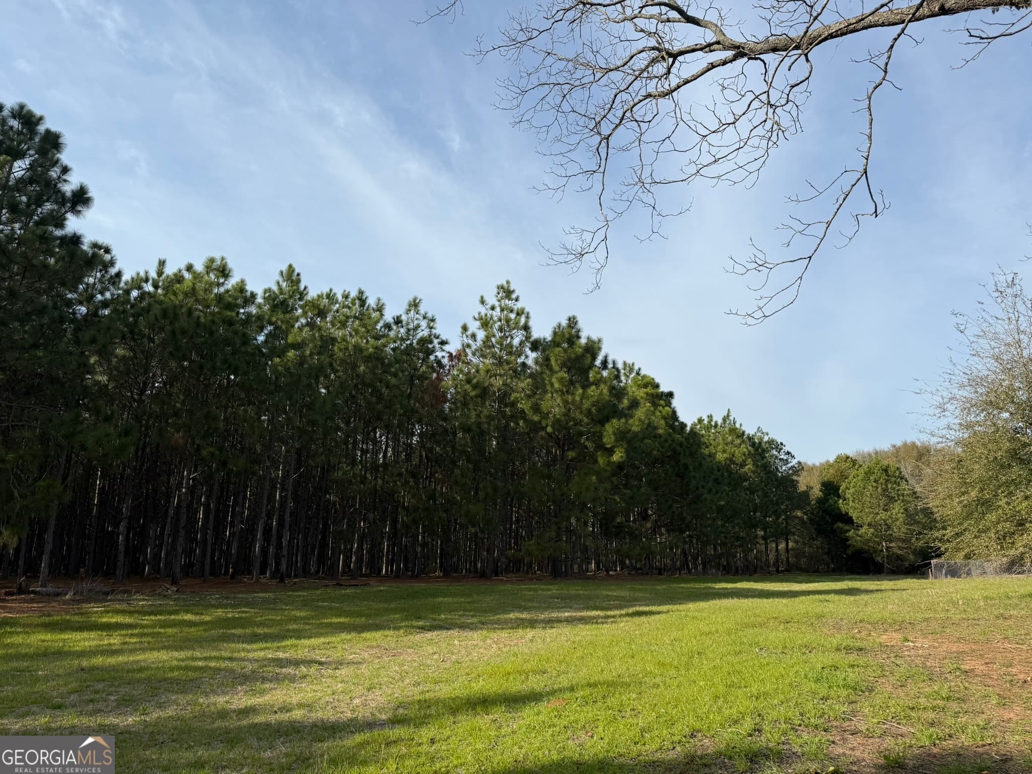 unimproved land for sale at 003 GA Highway 45, Plains, GA 31780 — photo 5