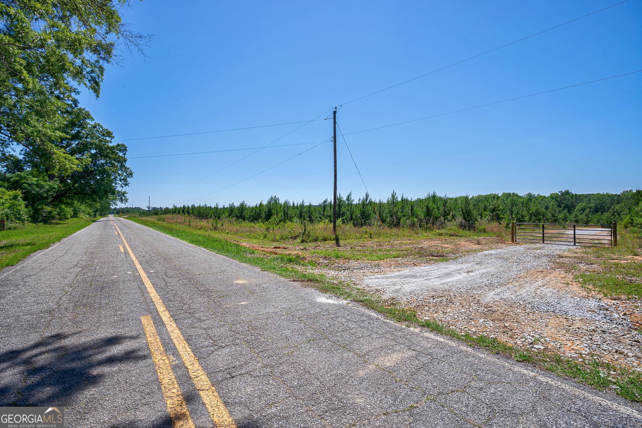 unimproved land for sale at 4918 Lower Mill Road, Crawfordville, GA 30631 — photo 2
