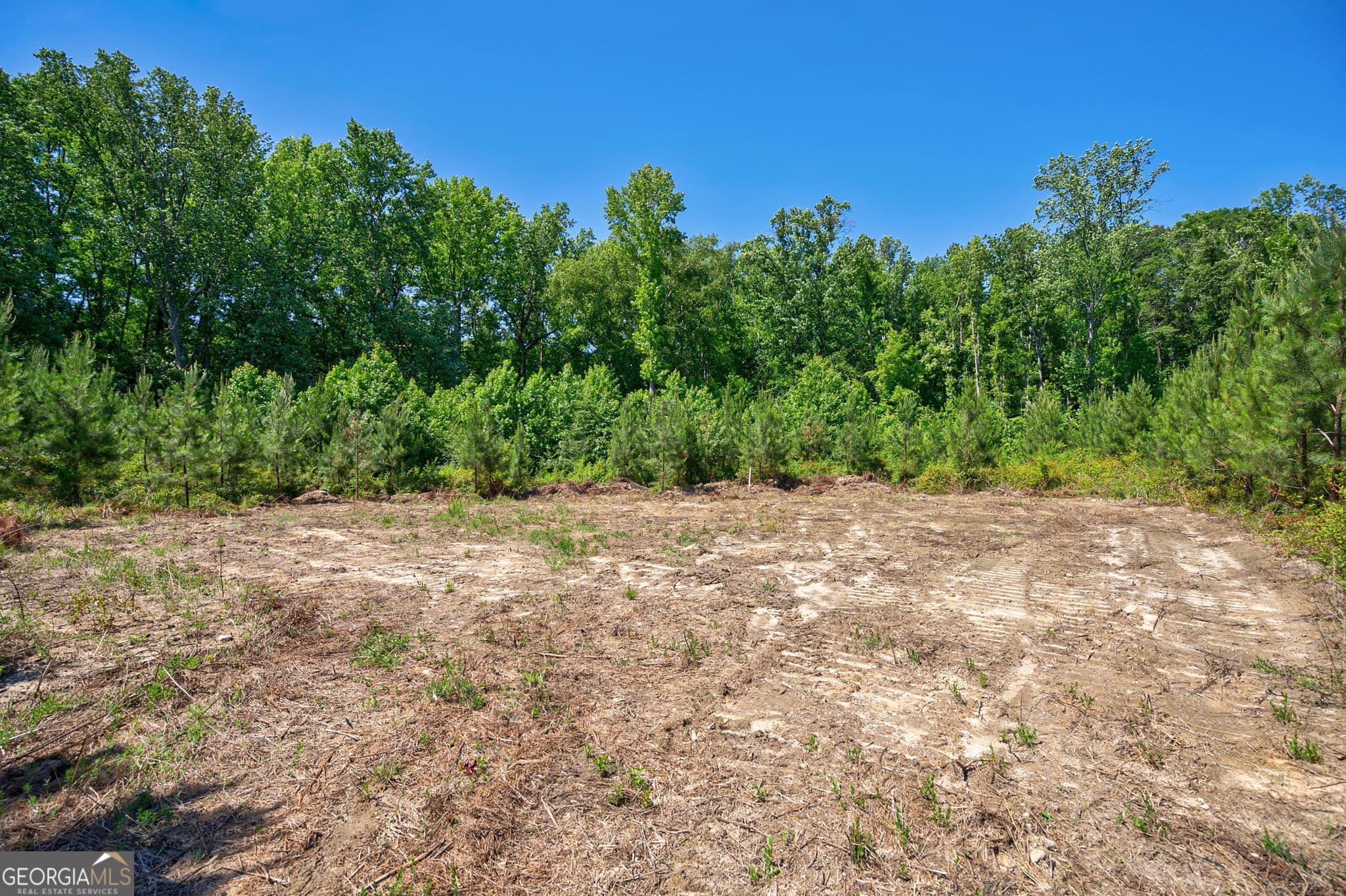 unimproved land for sale at 4918 Lower Mill Road, Crawfordville, GA 30631 — photo 6