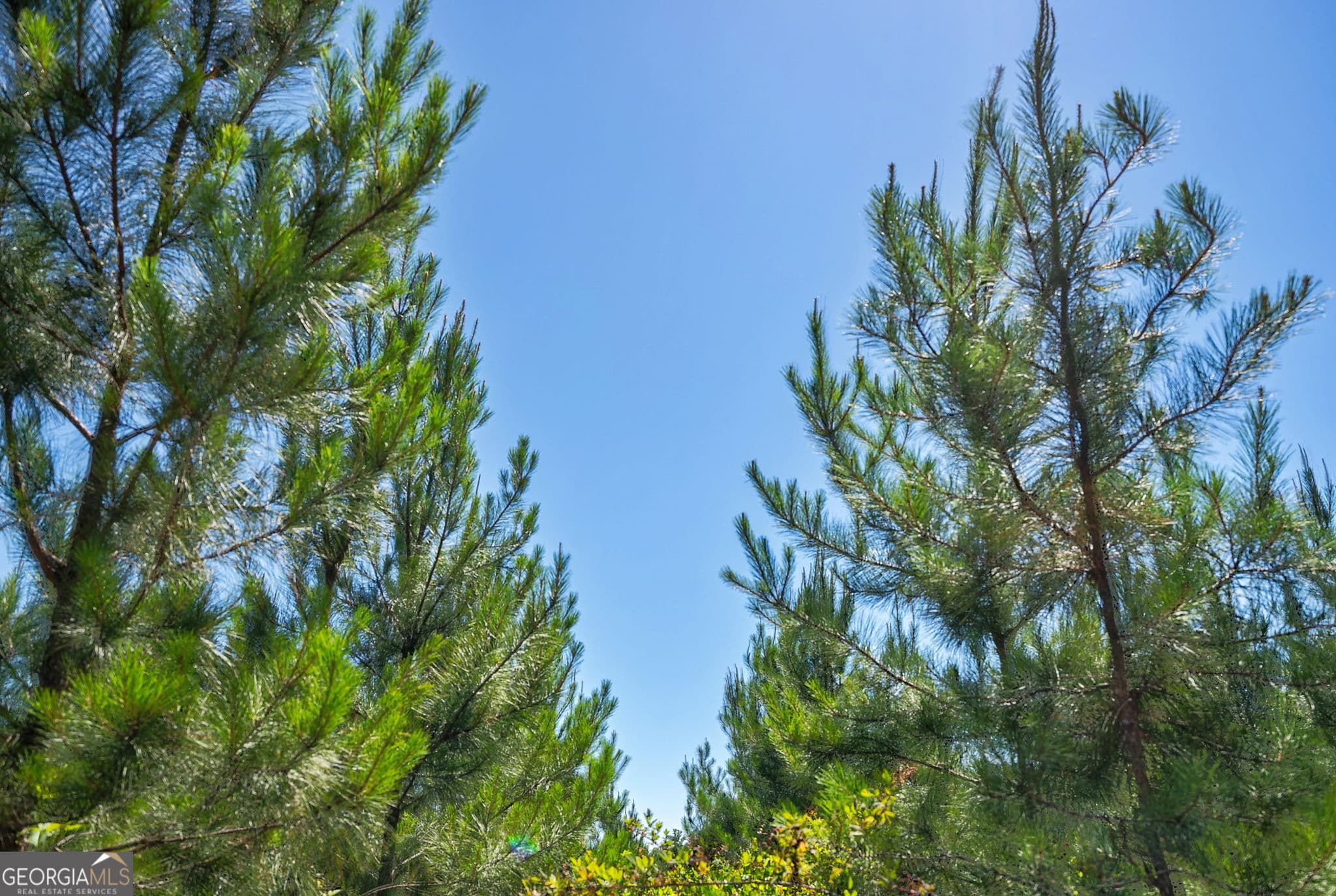 unimproved land for sale at 4918 Lower Mill Road, Crawfordville, GA 30631 — photo 7