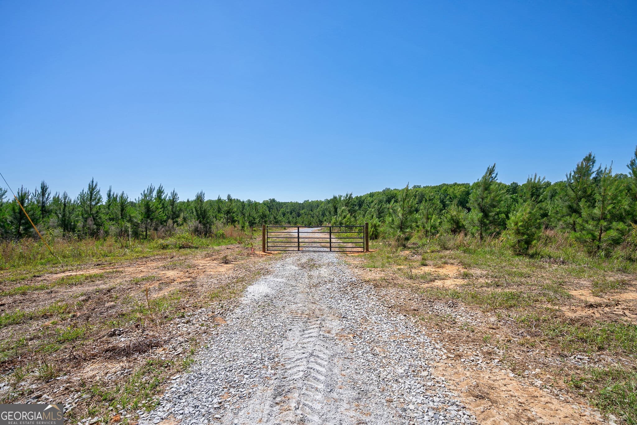 unimproved land for sale at 4918 Lower Mill Road, Crawfordville, GA 30631 — photo 3