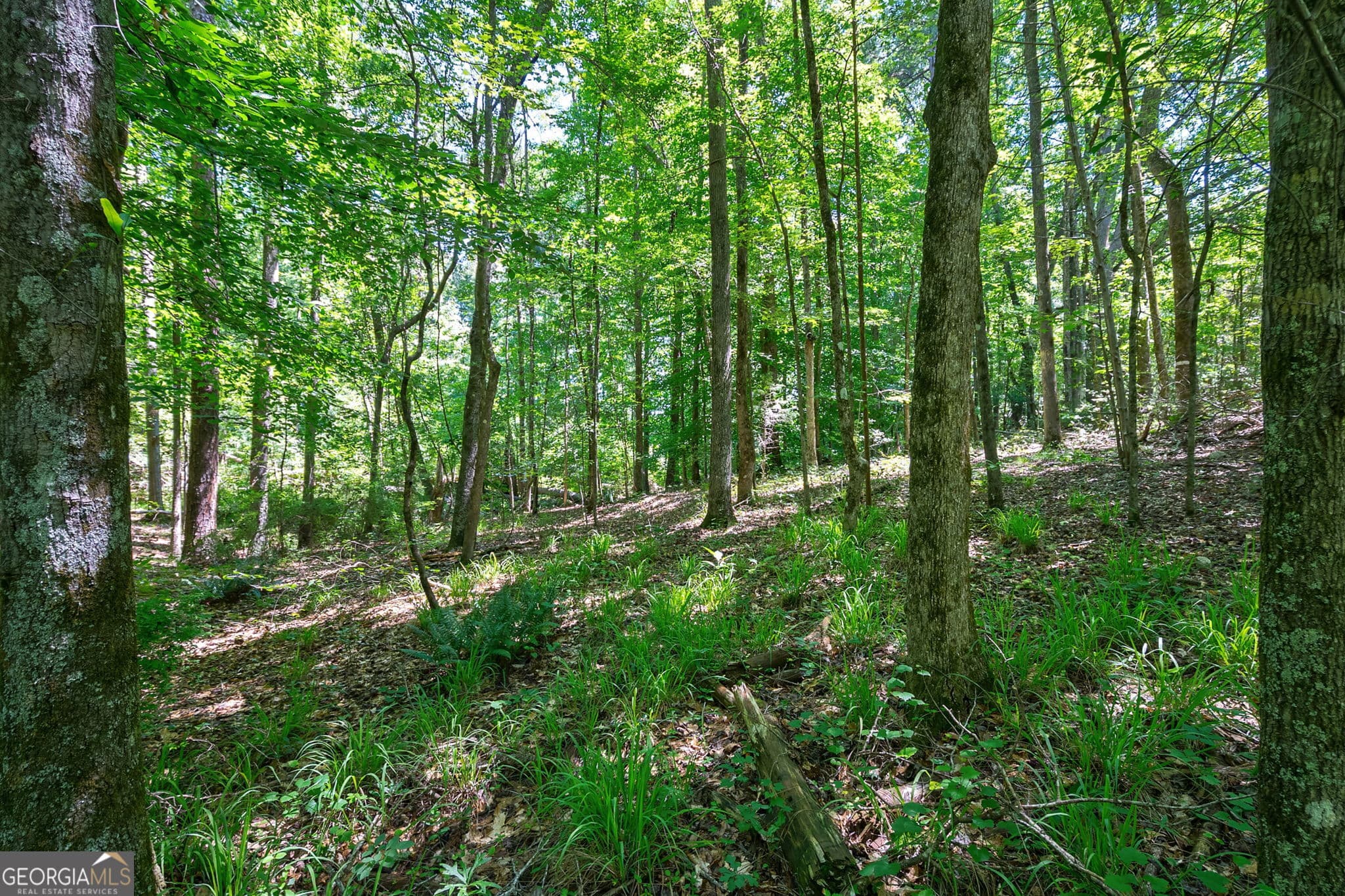 unimproved land for sale at 4918 Lower Mill Road, Crawfordville, GA 30631 — photo 10