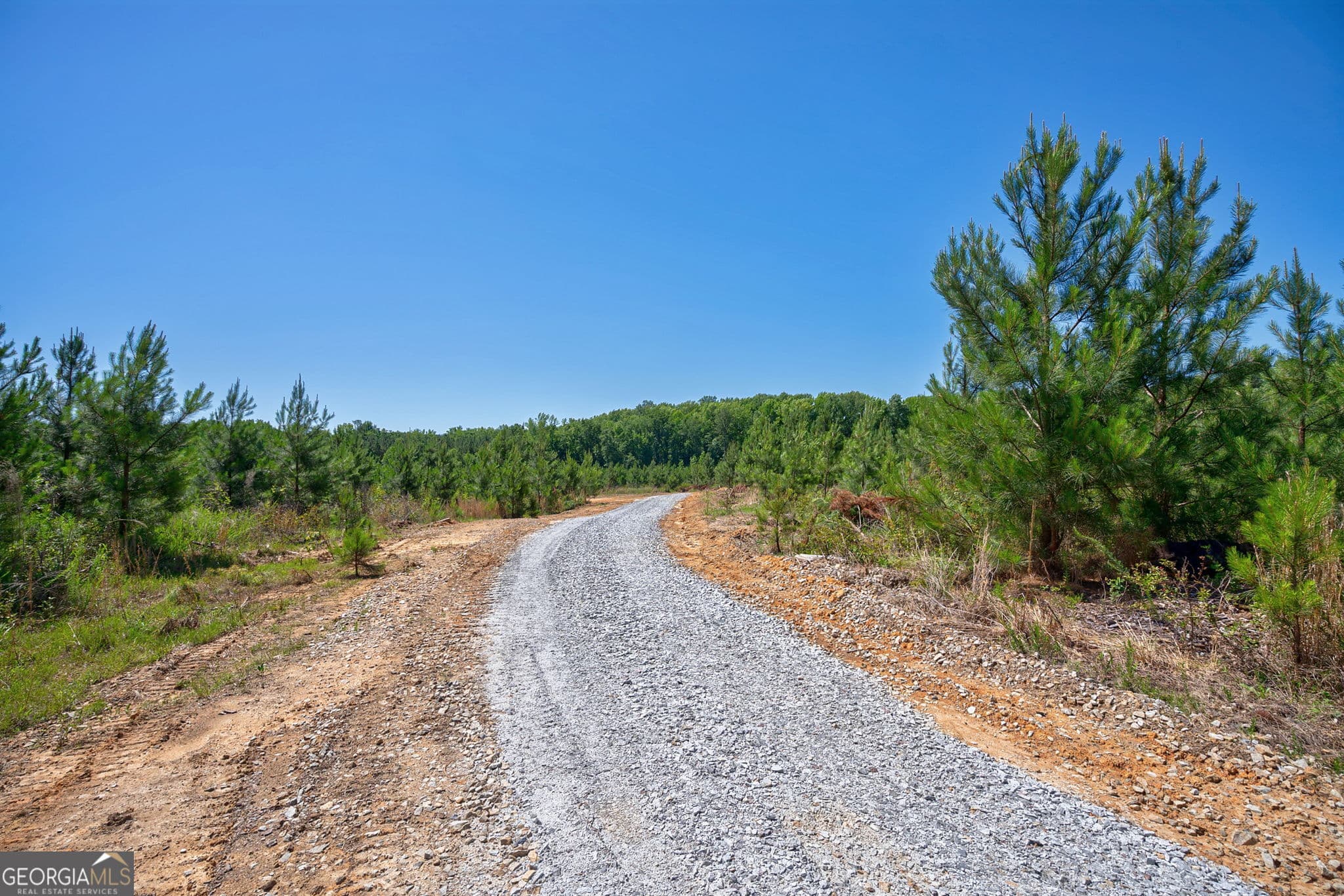 unimproved land for sale at 4918 Lower Mill Road, Crawfordville, GA 30631 — photo 4