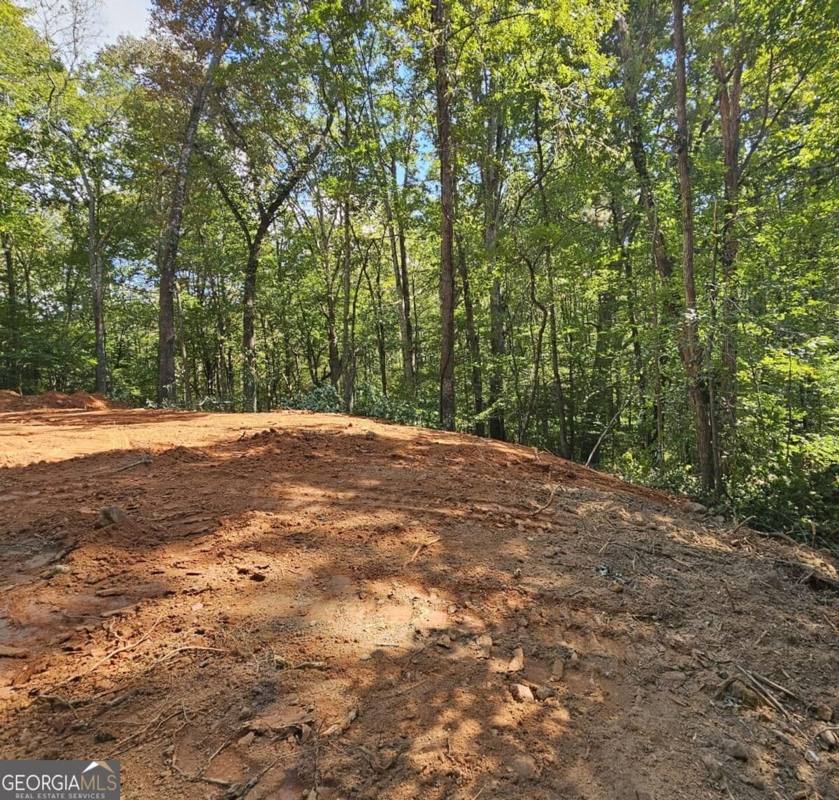 residential lot for sale at 7619 Yukon Road, Talking Rock, GA 30175 — photo 7