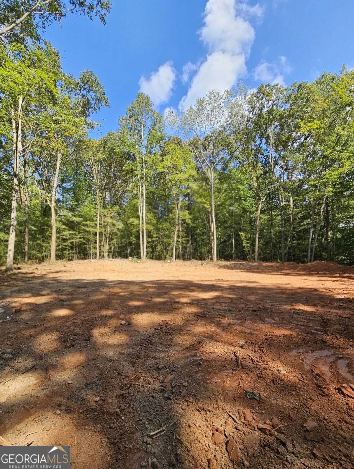 residential lot for sale at 7619 Yukon Road, Talking Rock, GA 30175 — photo 9