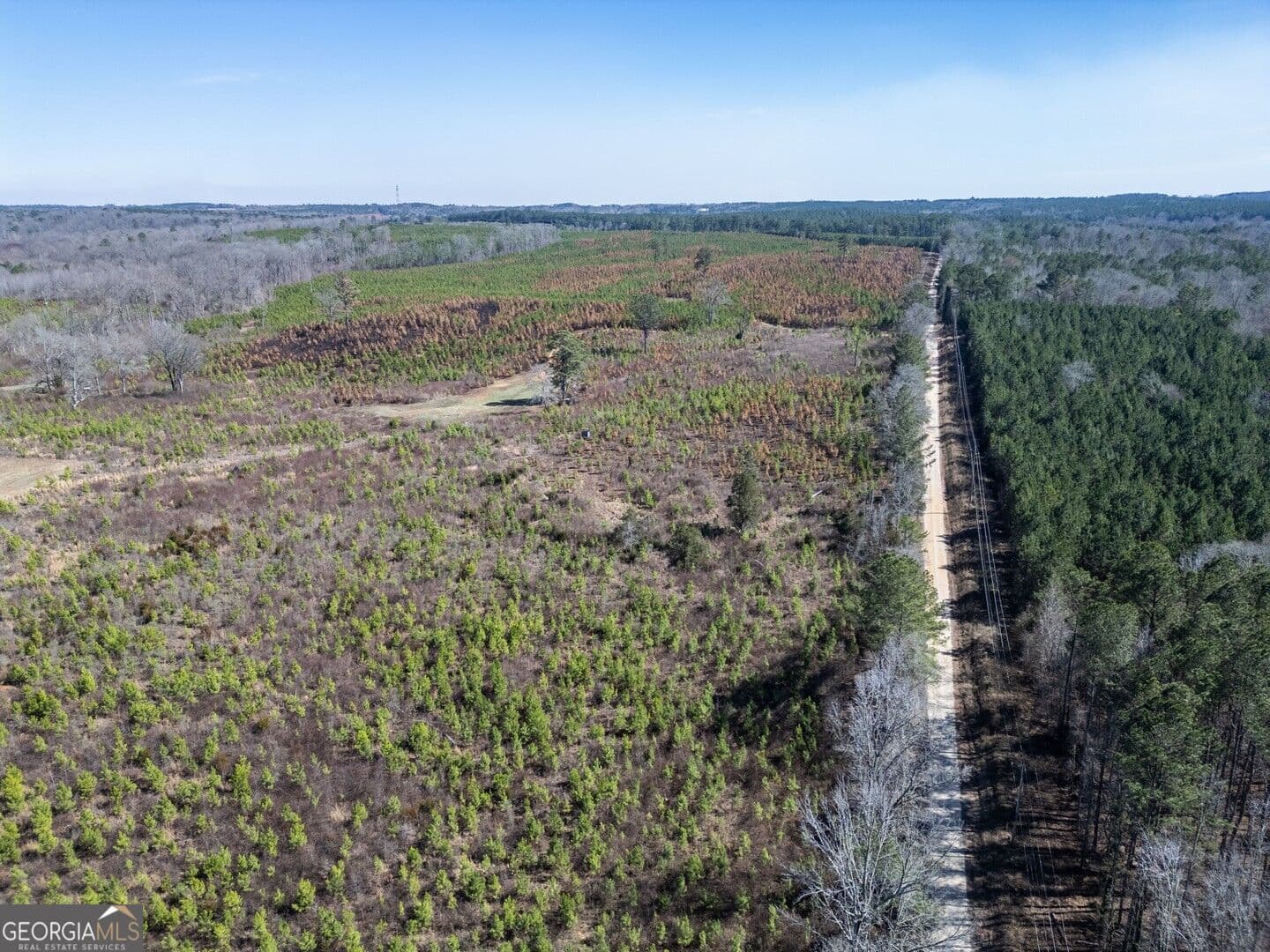 agriculture for sale at 0 Cook Road TRACT #14, Monticello, GA 31064 — photo 6