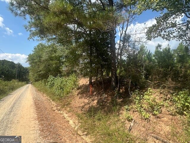 agriculture for sale at 0 Cook Road TRACT #14, Monticello, GA 31064 — photo 3