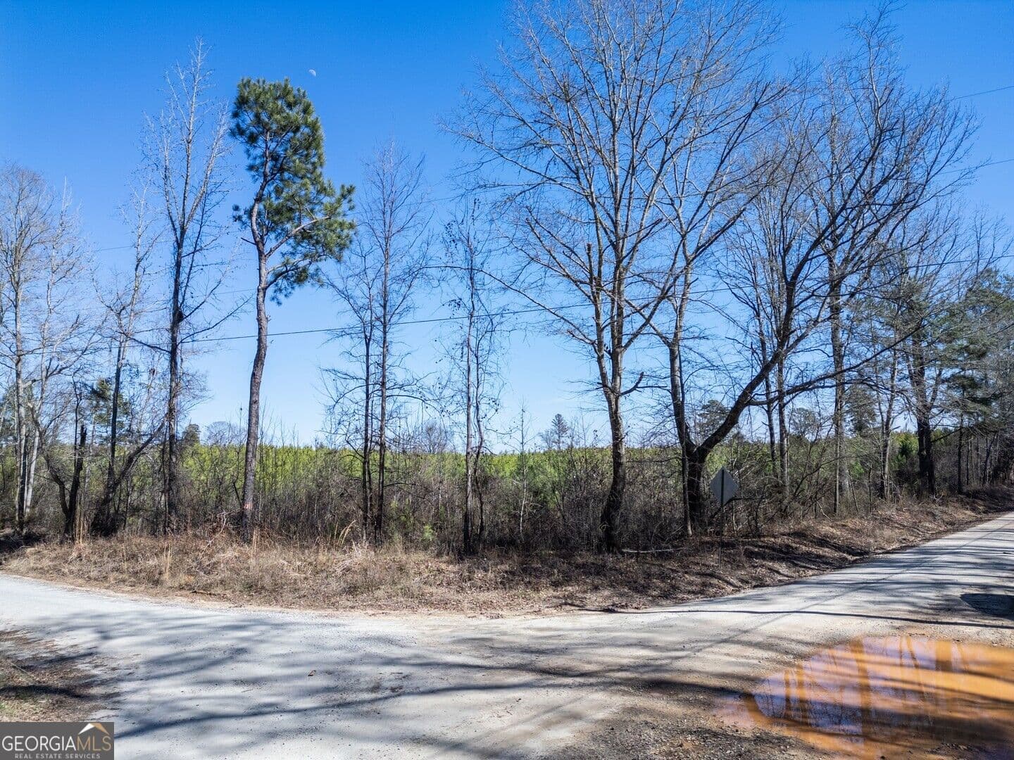 agriculture for sale at 0 Cook Road TRACT #14, Monticello, GA 31064 — photo 5