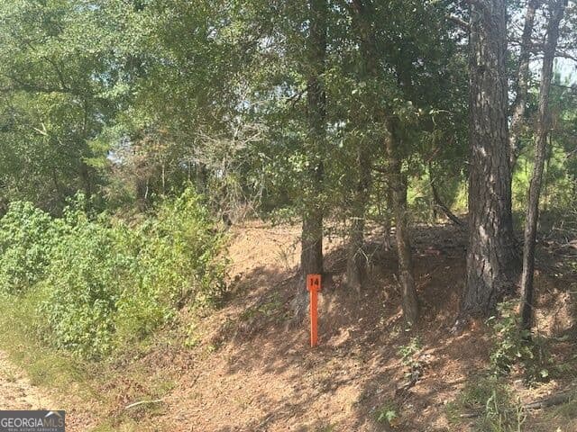 agriculture for sale at 0 Cook Road TRACT #14, Monticello, GA 31064 — photo 4